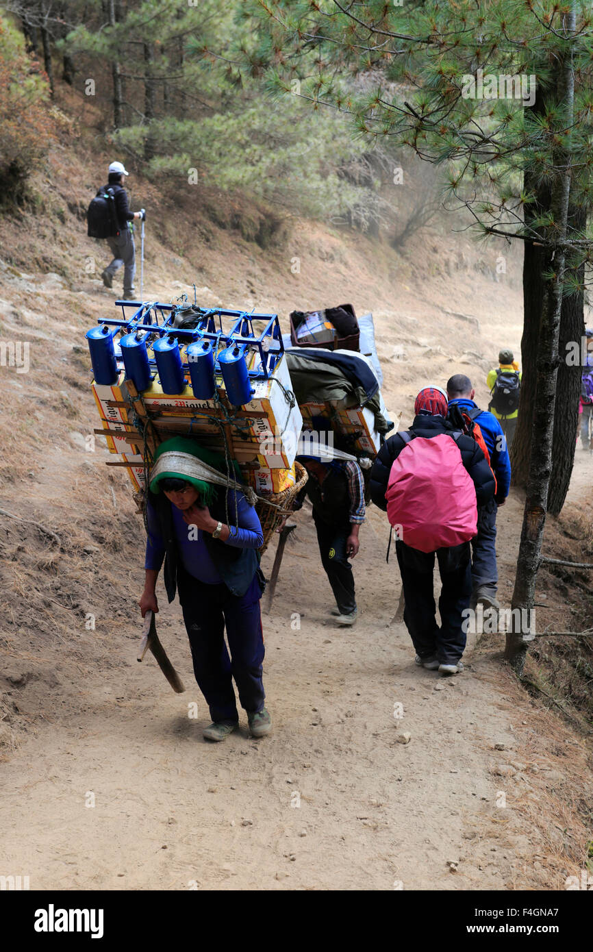 Lo Sherpa nepalese trasporta un carico, Namche Bazar Pass, Parco Nazionale di Sagarmatha, Sito Patrimonio Mondiale dell'UNESCO, Solu-Khumbu distretto, Foto Stock