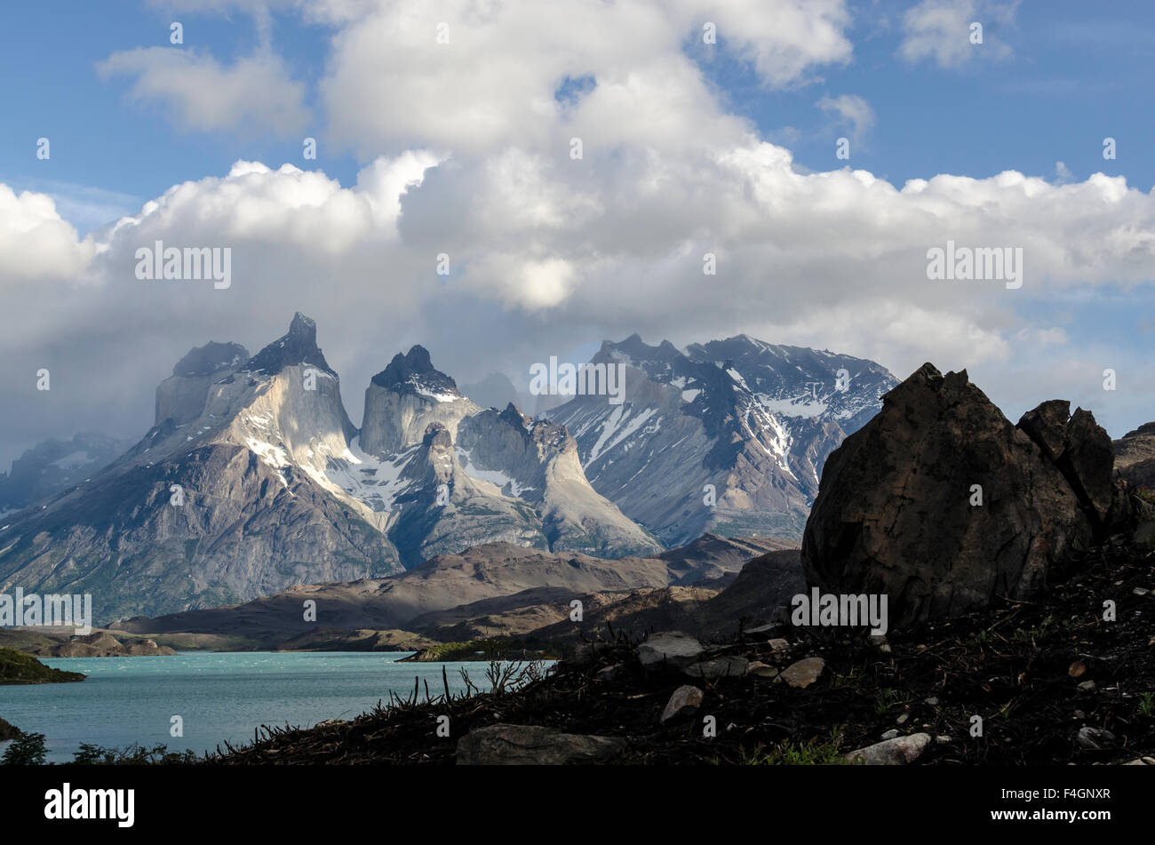 Torres del Paine, parco nazionale Foto Stock