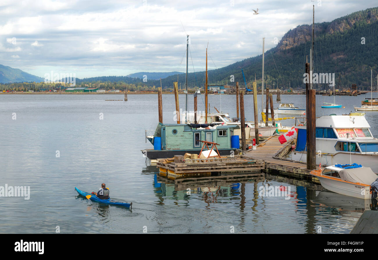 Kayak a Cowichan Bay, l'isola di Vancouver, British Columbia, Canada, America del Nord. Foto Stock