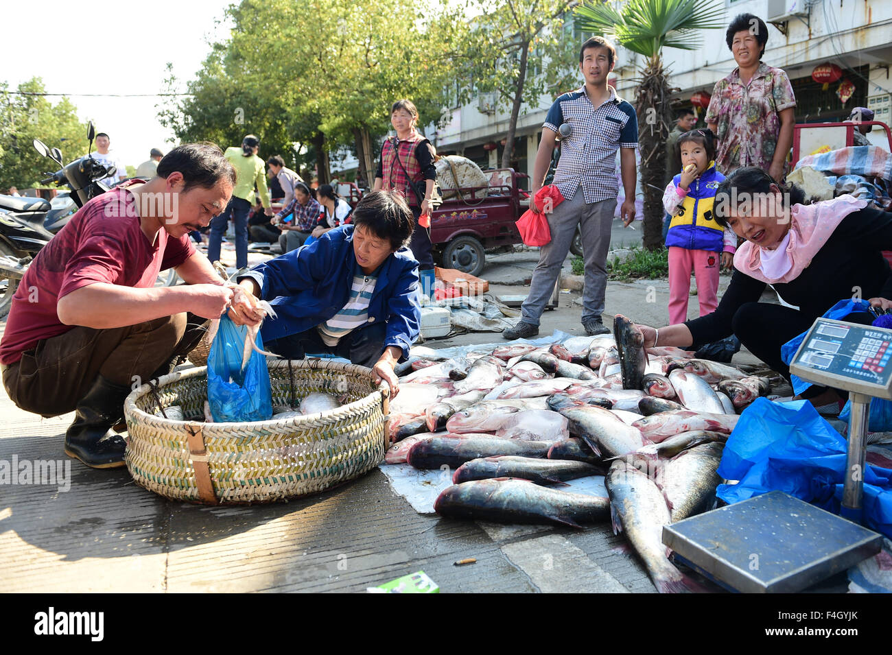 (151018) -- HEFEI, 18 ottobre 2015 (Xinhua) -- la gente acquista il pesce a un mercato in città Chaohu, est cinese della provincia di Anhui, 18 ottobre 2015. Come la stagione di pesca in lago Chaohu di Anhui è iniziato domenica, il mercato locale del pesce attratto molti clienti. (Xinhua/Du Yu) (zhs) Foto Stock