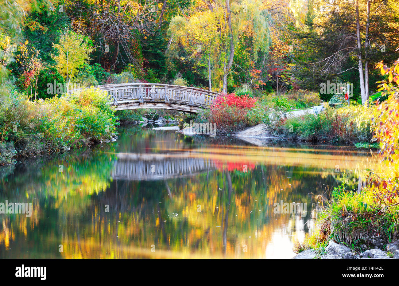 I riflessi del ponte in legno e splendidi colori autunnali nei giardini di Edwards, Toronto, Canada Foto Stock