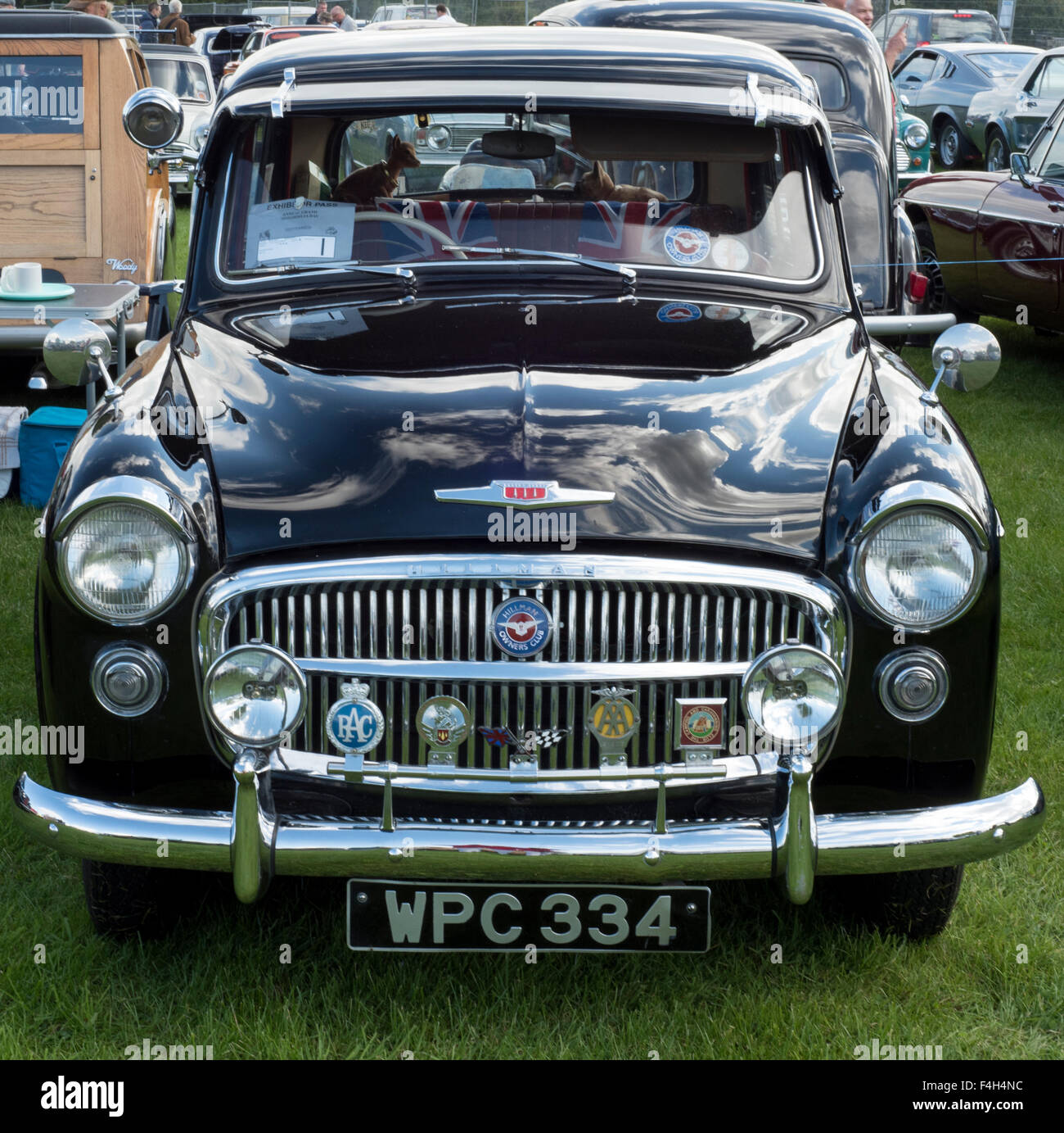 Nero auto, COFANO, PARABREZZA, calandra, linee orizzontali, badge, riflessioni, nuvole, cielo blu, volante, Foto Stock