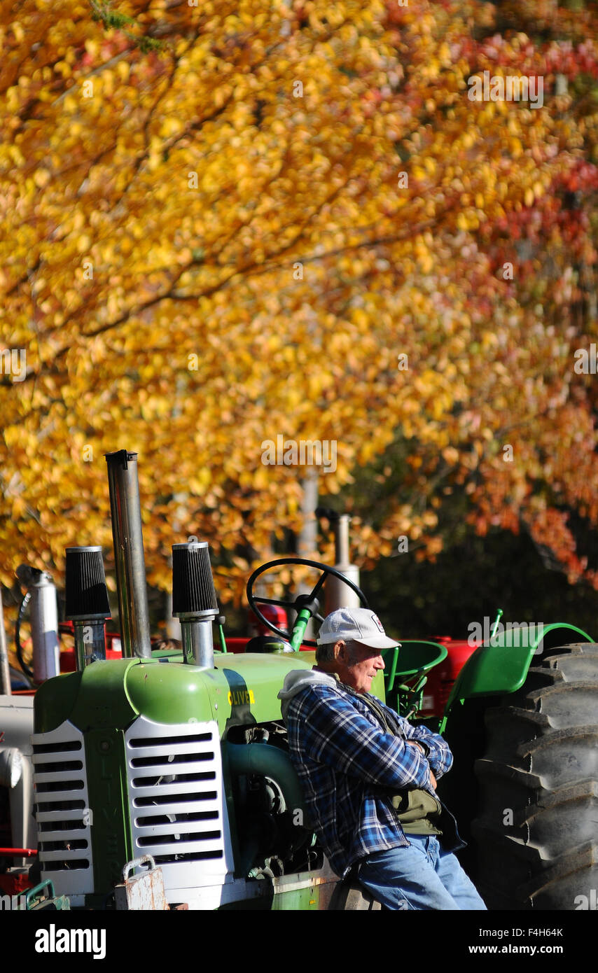 Un agricoltore si appoggia prima bella fogliame di autunno dopo un antico trattore tirare in sandwich, New Hampshire, Stati Uniti d'America. Foto Stock