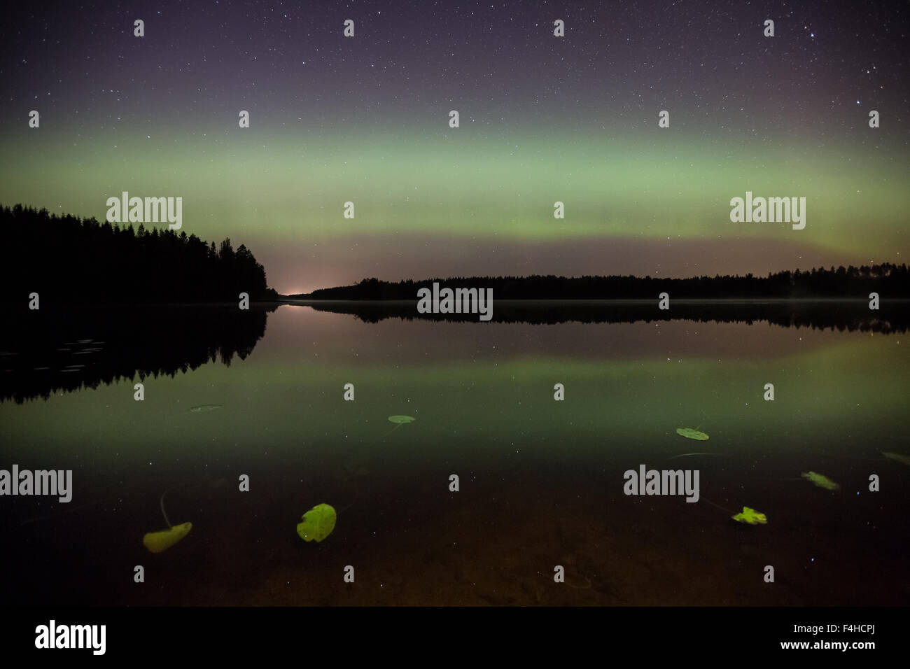 Northern Lights visto da Pirkonsaari isola, Petäjävesi, Finalnd, Europa UE Foto Stock
