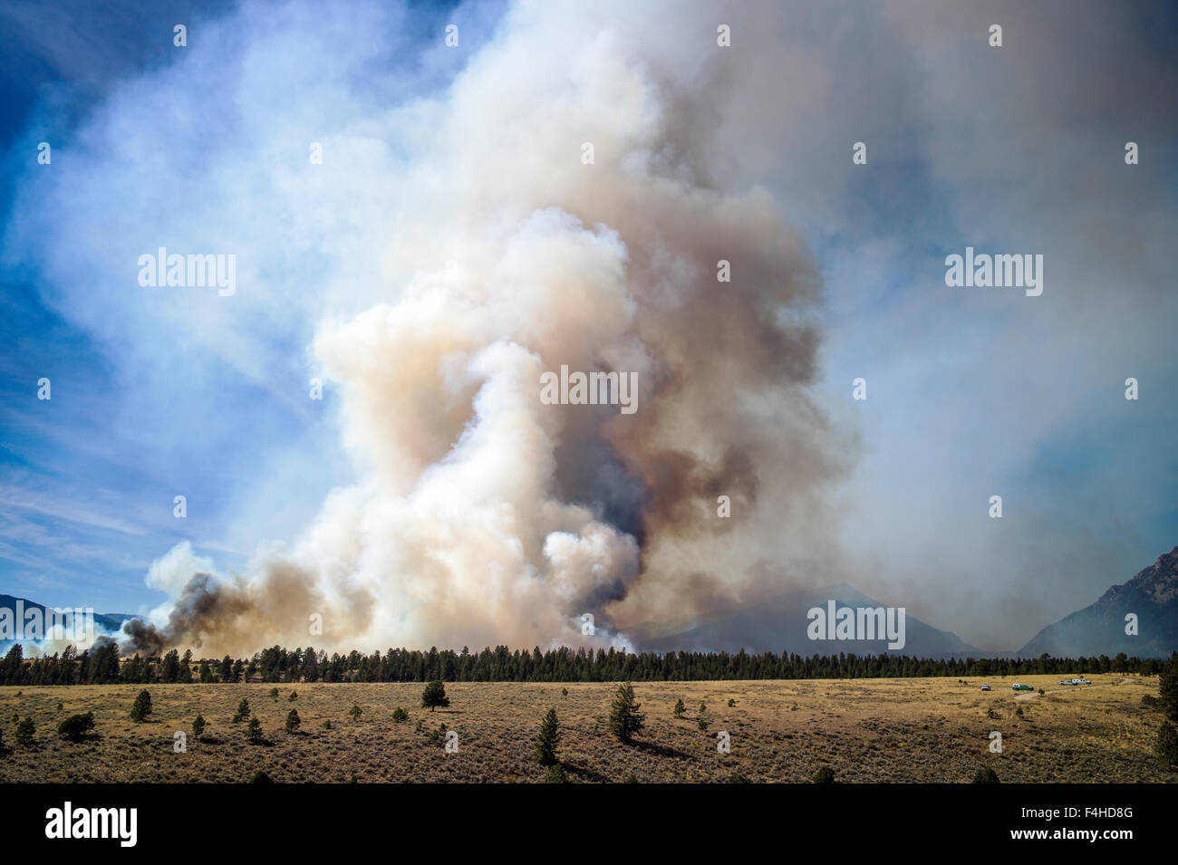 US Forest Service; controllo del fuoco ardere vicino a Mt. Shavano; Chaffee County; central Colorado; USA Foto Stock
