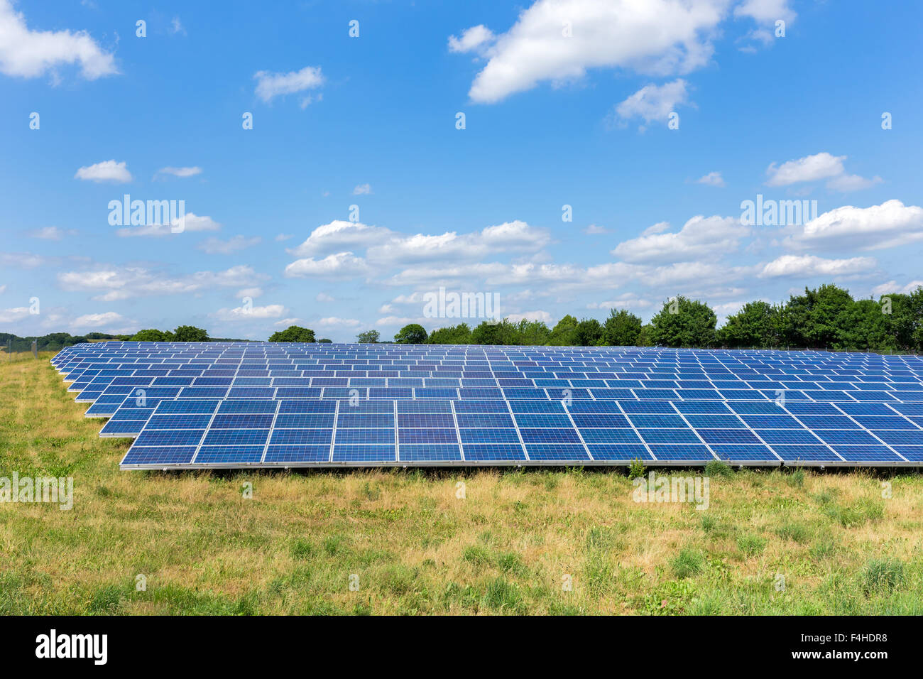 Campo con i lotti di pannelli solari nei Paesi Bassi Foto Stock