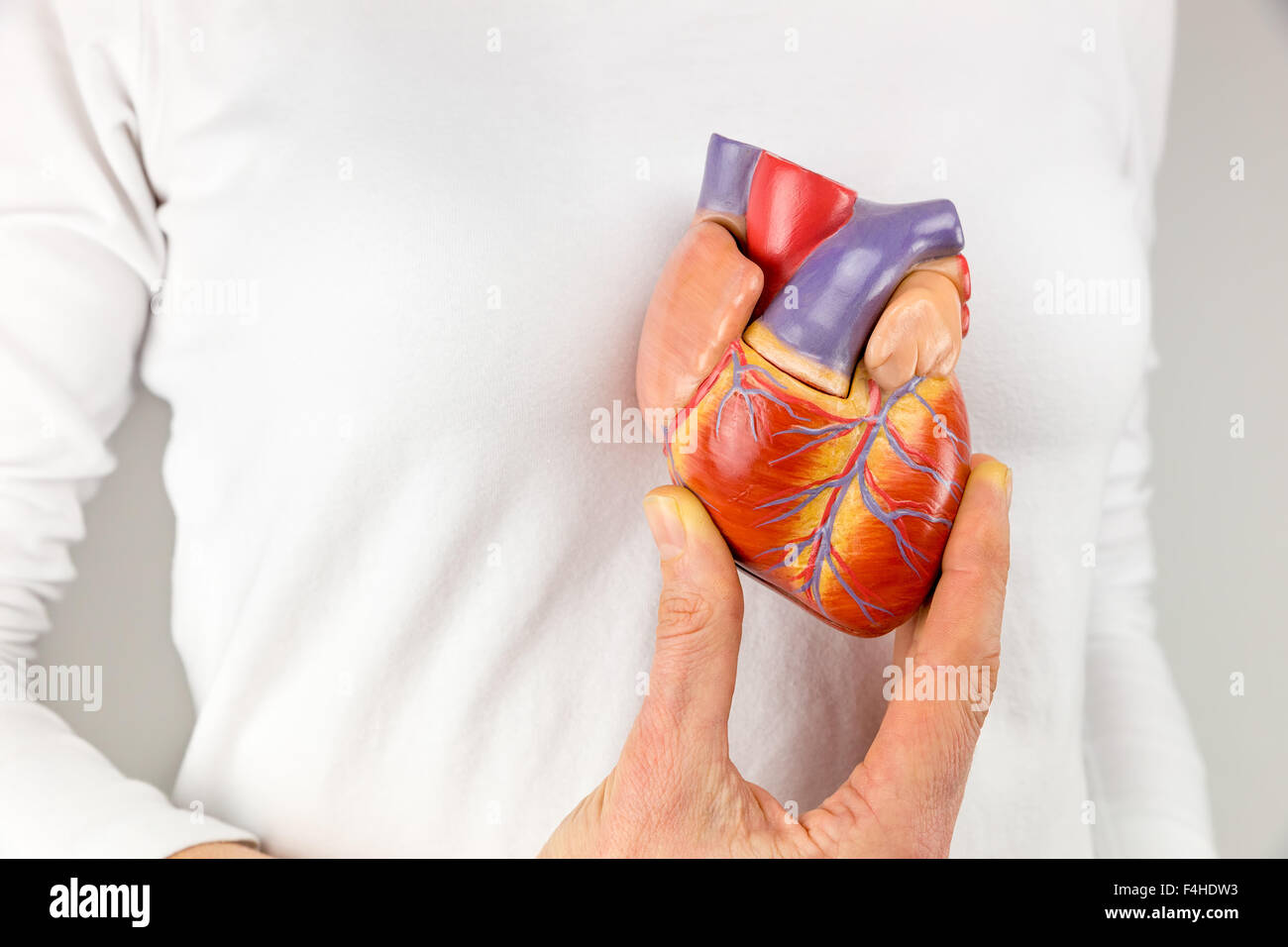 Mano femminile che mostra un cuore artificiale modello nella parte anteriore del corpo Foto Stock