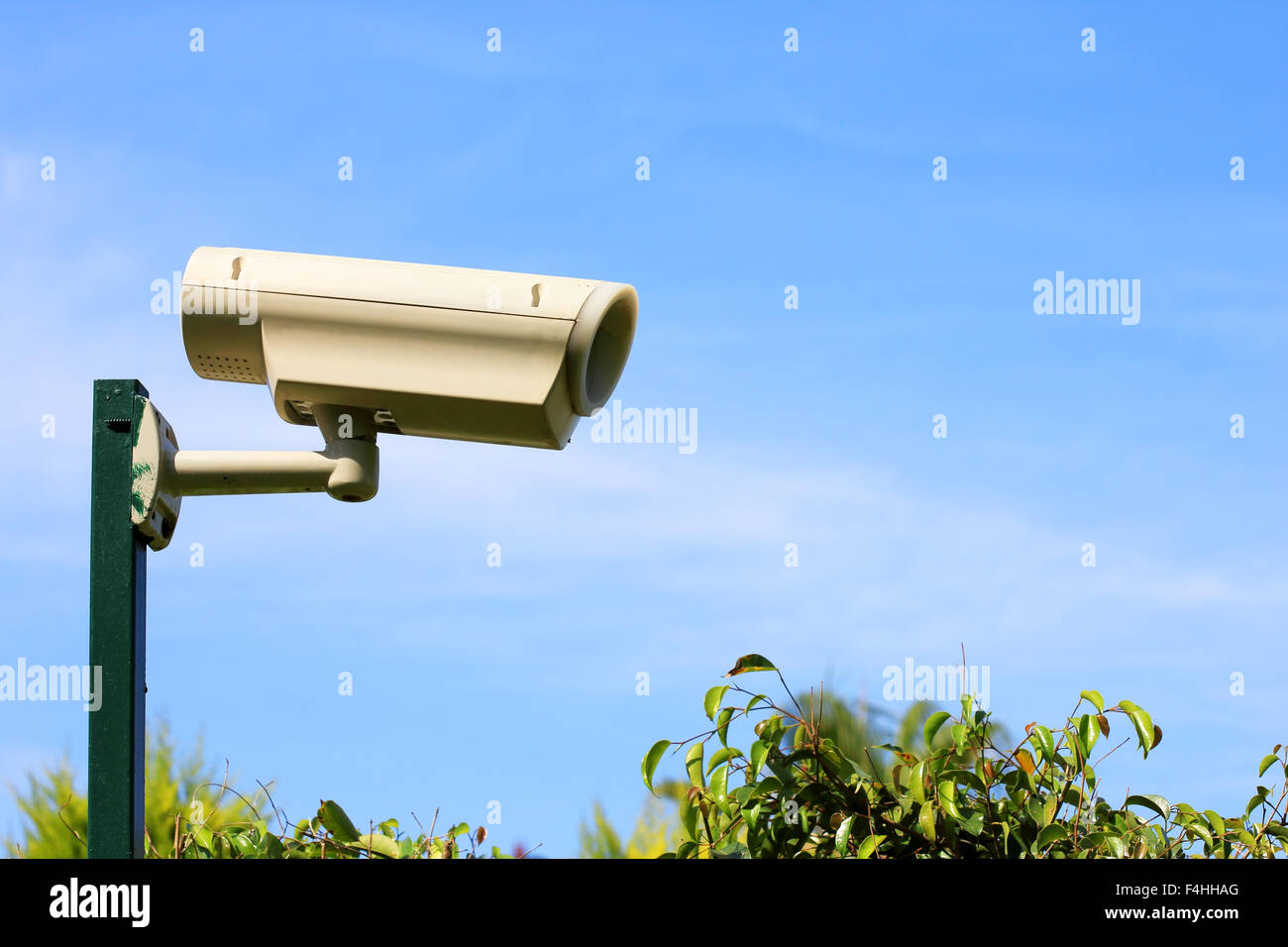 Telecamera per la realizzazione di video sorveglianza in giardino Foto Stock