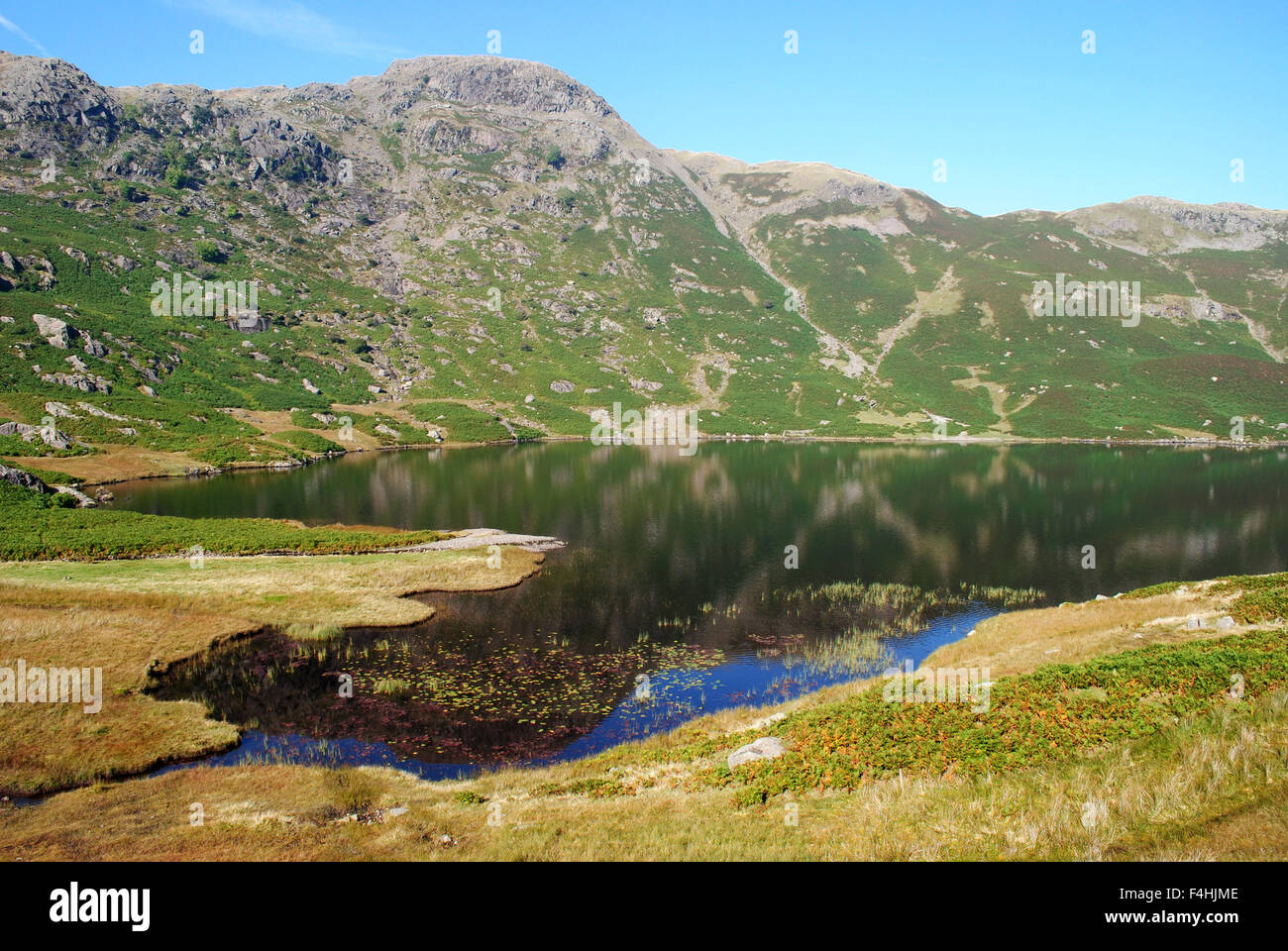 Easedale Tarn Foto Stock