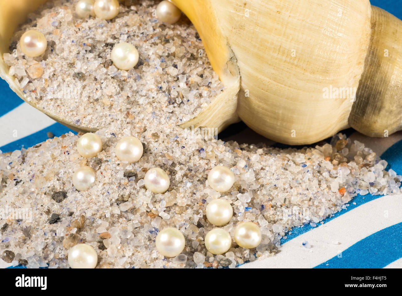Grezzo di sale marino naturale, perla e spirale della shell Foto Stock