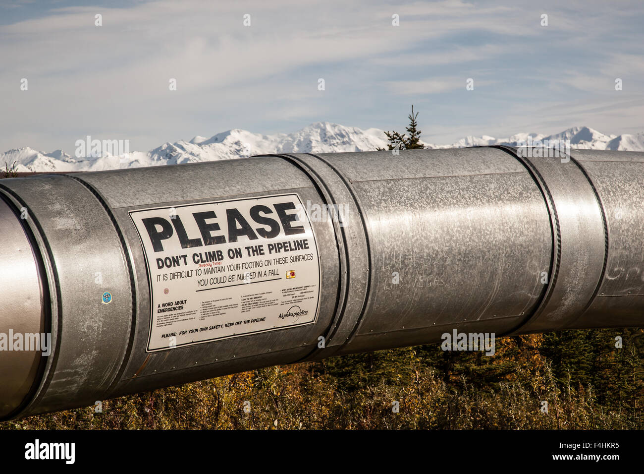 Pipeline Trans-Alaska presso delta giunzione, Alaska Foto Stock