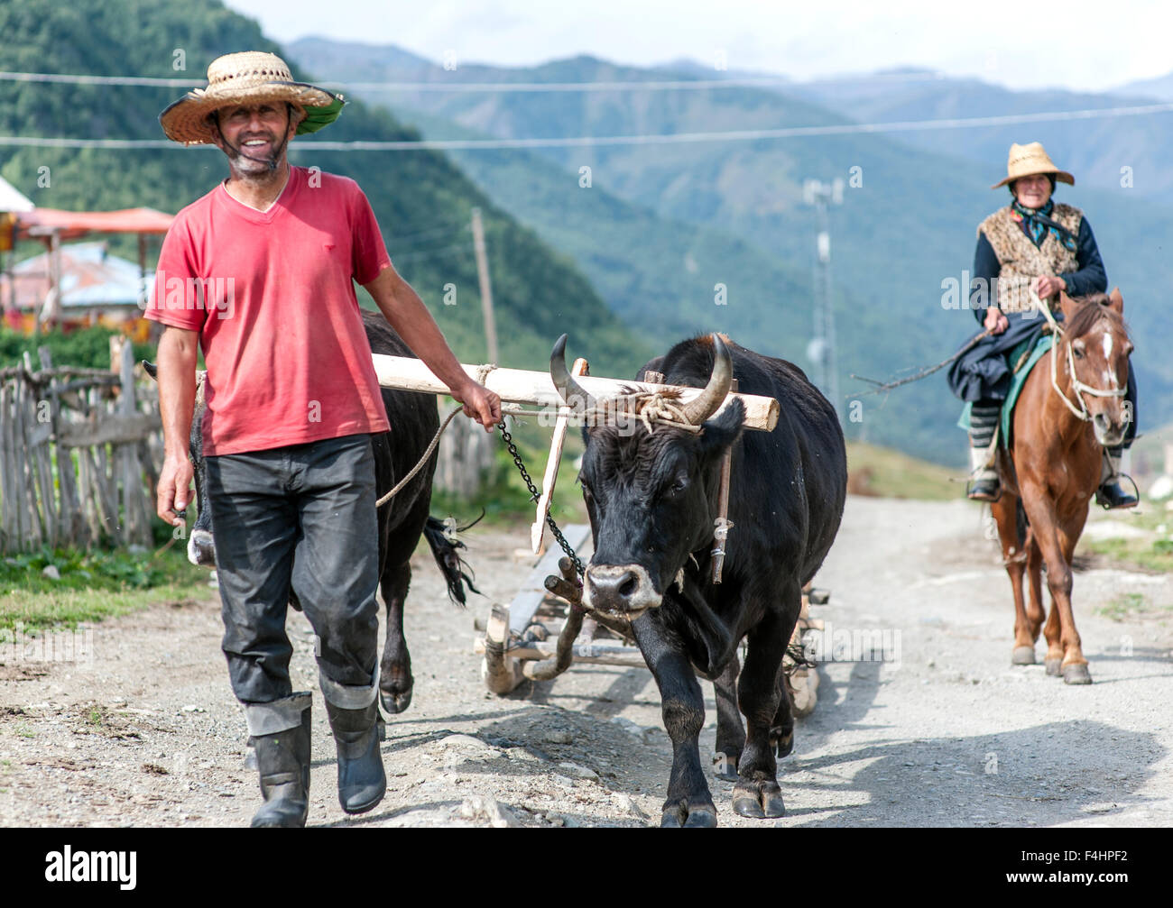 Gli abitanti di un villaggio con un aratro di bestiame nel villaggio di Ushguli, regione di Svaneti, montagne del Caucaso, northwestern Georgia. Foto Stock