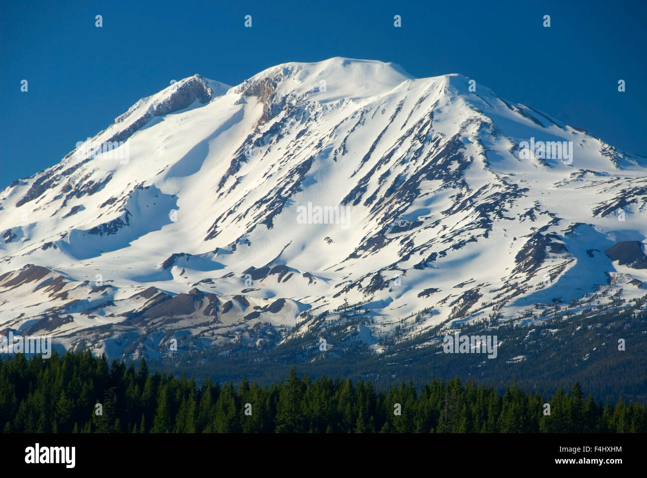 Mt Adams visualizza, Trota Lago Area Naturale preservare, trota lago, Washington Foto Stock