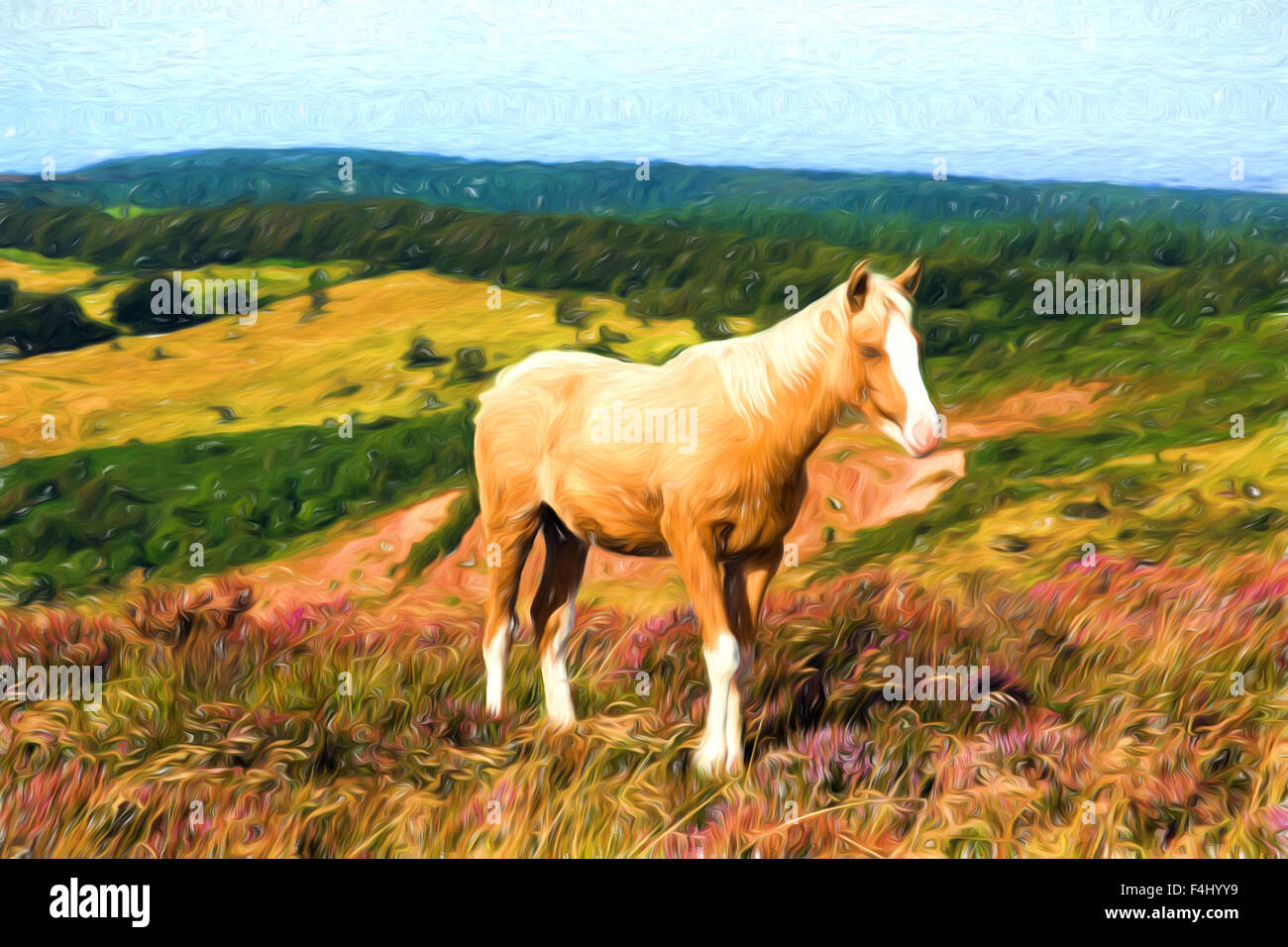 Bella bionda dun pony crema con un naso bianco su una collina in inglese con erica viola Foto Stock
