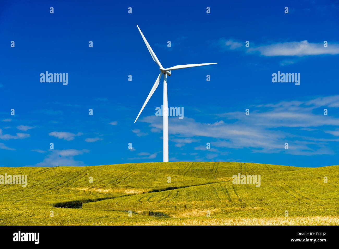 Turbina eolica vicino a Jerez de la Frontera, Andalusia, Spagna Foto Stock