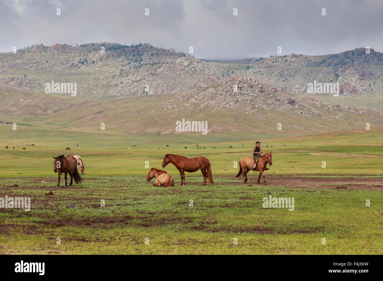 Sorridente ragazzo corse bareback passato altri cavalli, estate campo nomadi, Khujirt, Uvurkhangai (Ovorkhangai), Mongolia centrale Foto Stock