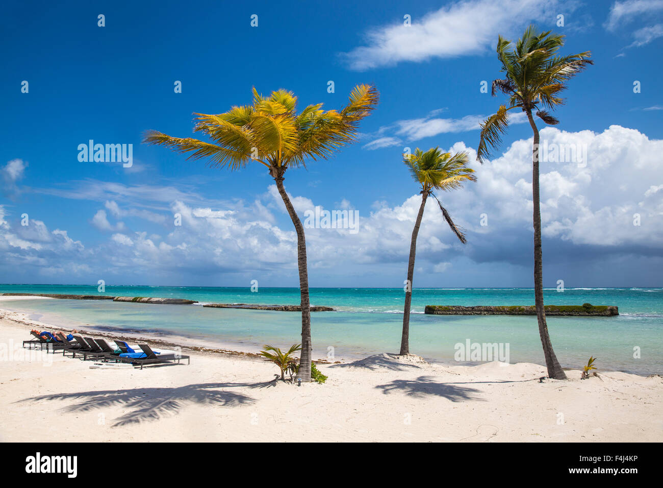 Spiaggia a anche del Mar resort di Punta Cana, Repubblica Dominicana, West Indies, dei Caraibi e America centrale Foto Stock
