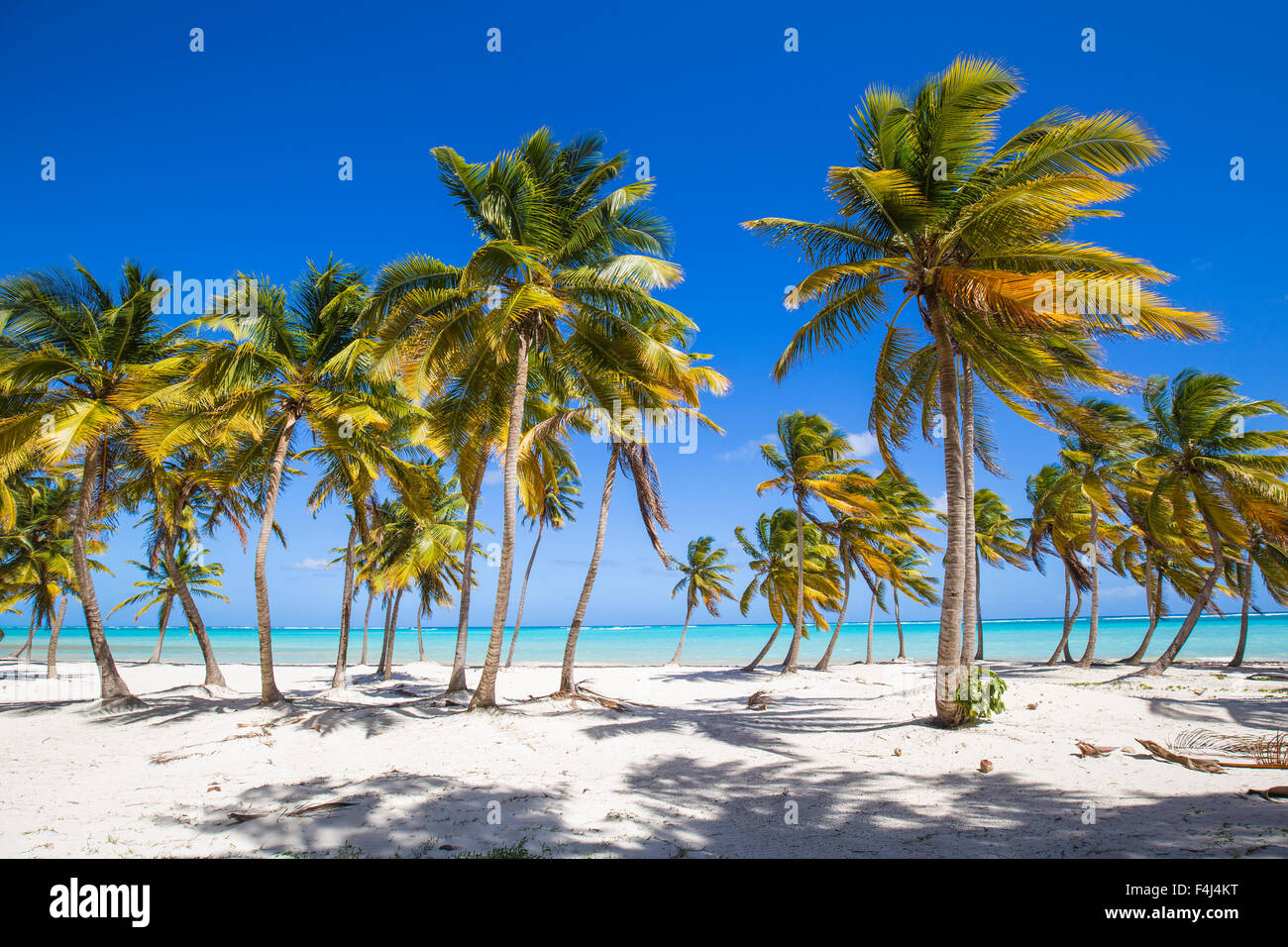 Cap Cana, Punta Cana, Repubblica Dominicana, West Indies, dei Caraibi e America centrale Foto Stock