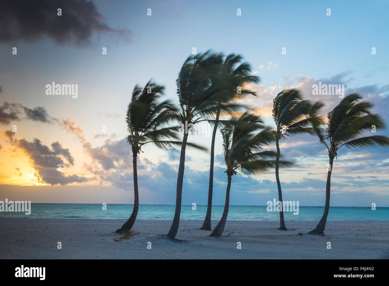 Juanillo Beach, Cap Cana, Punta Cana, Repubblica Dominicana, West Indies, dei Caraibi e America centrale Foto Stock