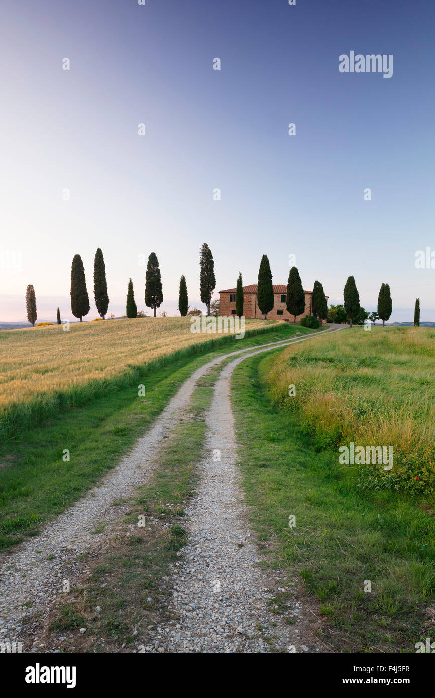 Agriturismo con cipressi, nei pressi di Pienza, Val d'Orcia (Val d'Orcia), l'UNESCO, in provincia di Siena, Toscana, Italia Foto Stock