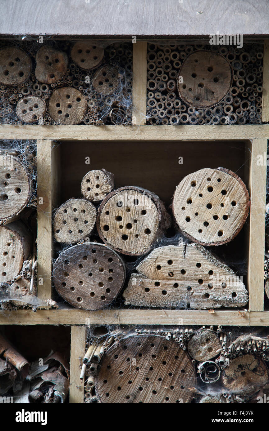 Giardino bug hotel realizzato a partire da un telaio in legno contenenti ceppi di alberi con fori trapanati e canne di bambù tutto coperto di ragnatele Foto Stock