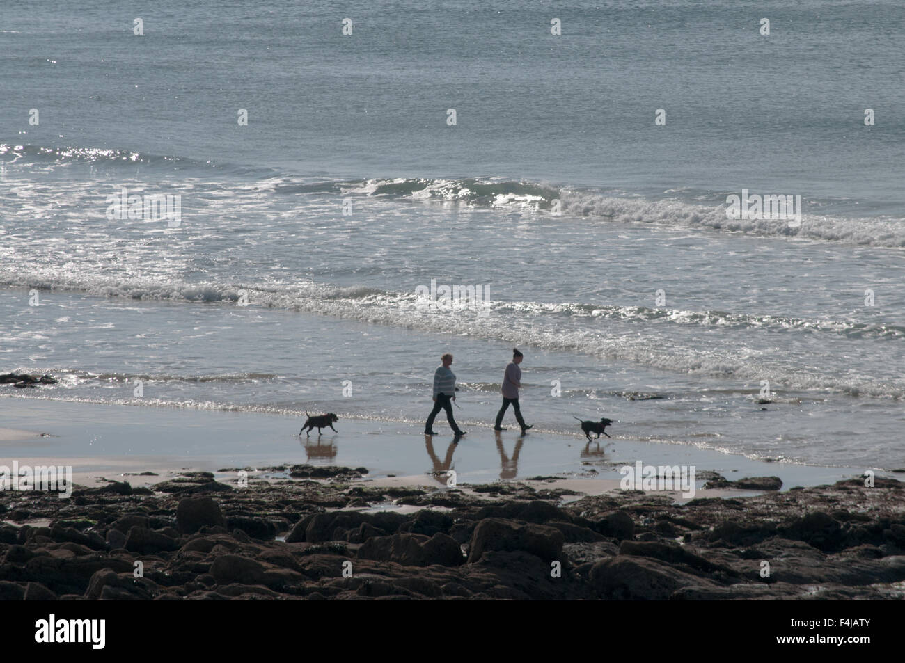 Le persone e i cani su una spiaggia in Cornovaglia Foto Stock