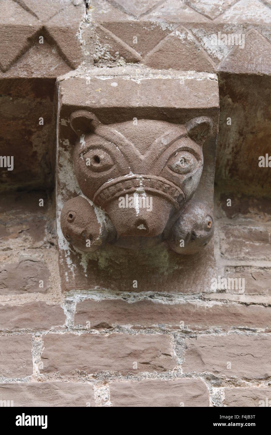 Testa di orso Corbel, Kilpeck Chiesa, Herefordshire, Inghilterra Foto Stock