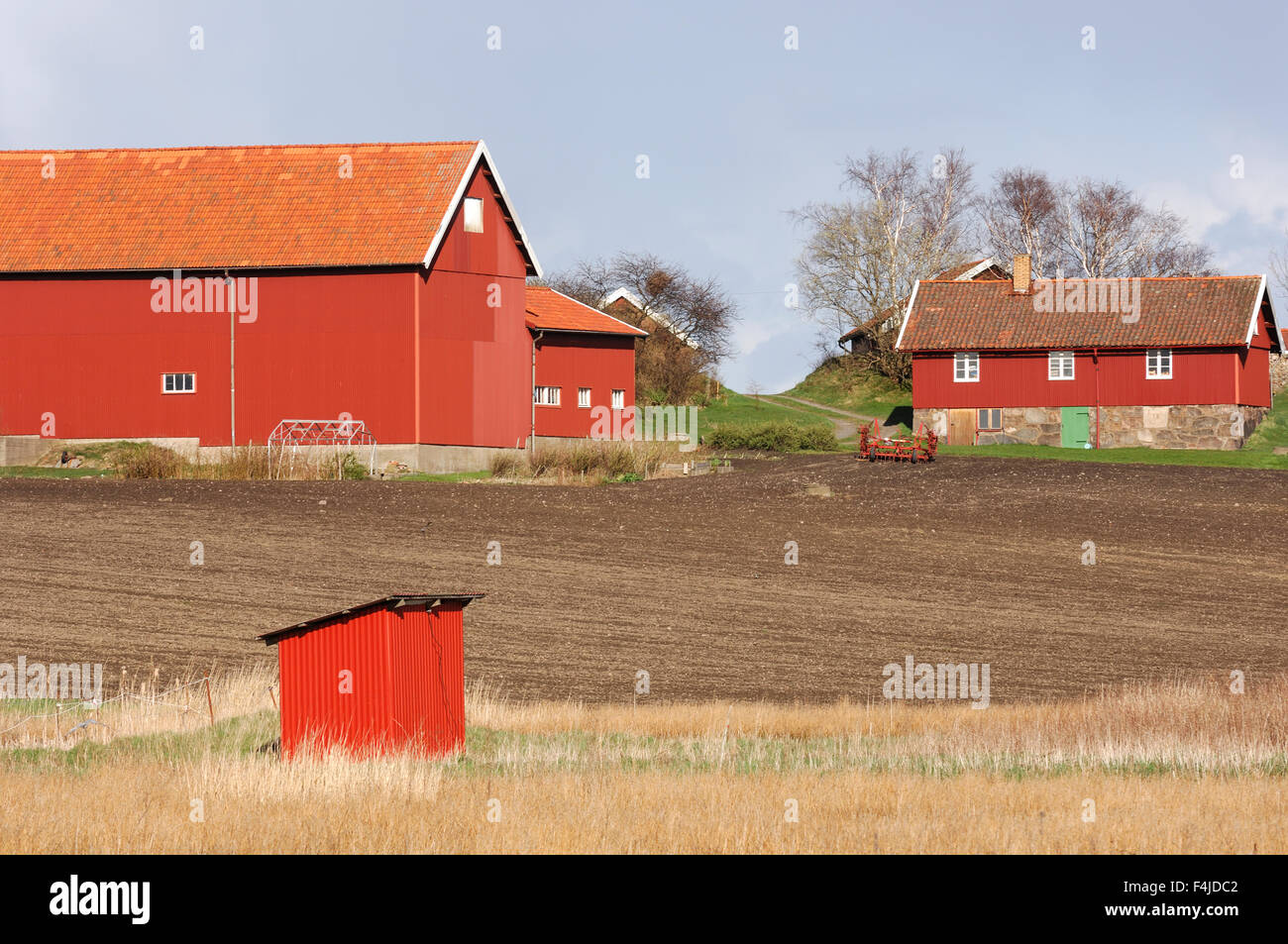 Agricoltura di immagine a colori orizzontale di fattoria Molndal nessun popolo all'aperto Scandinavia Svezia Vastergotland Foto Stock