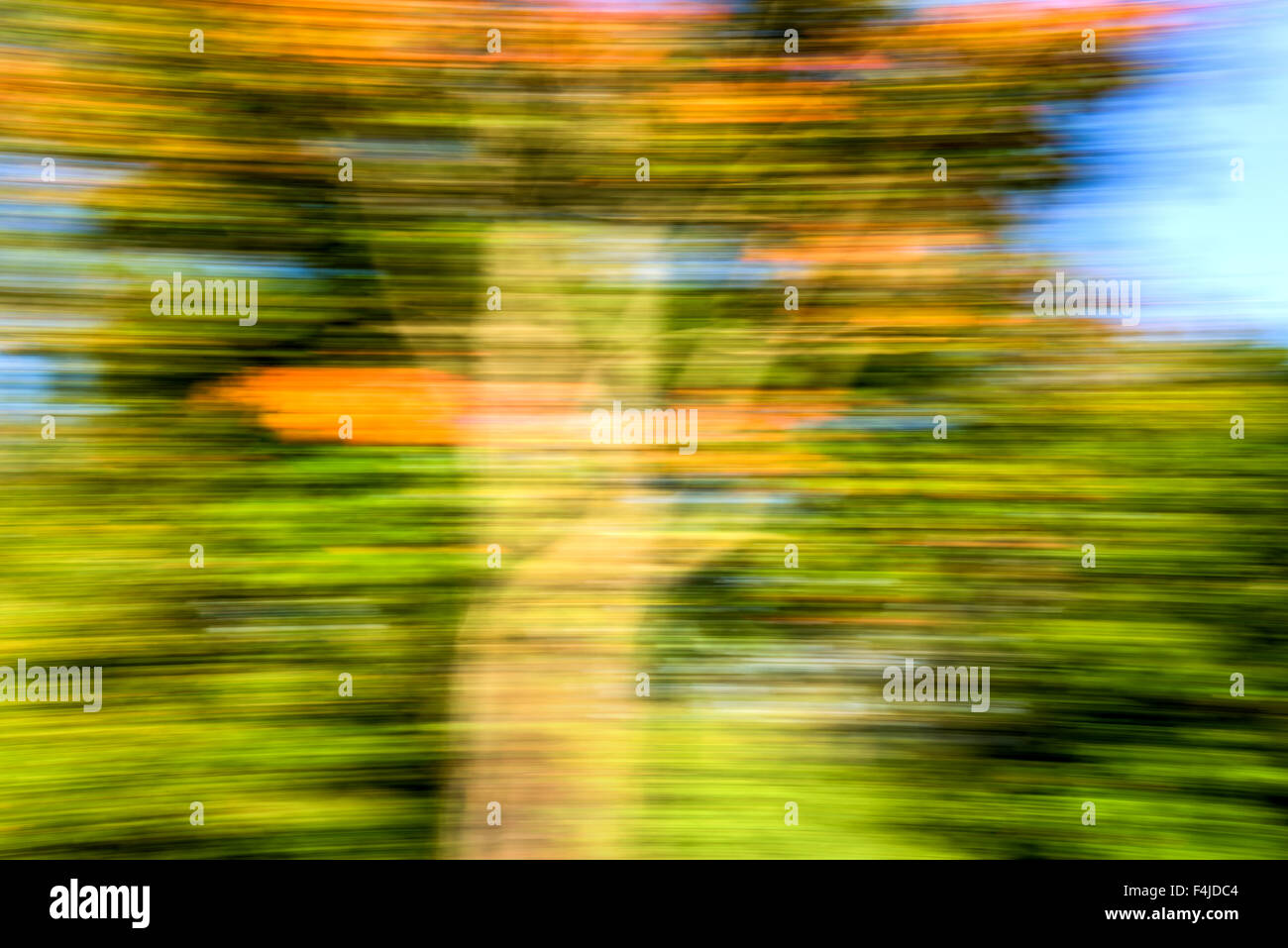 Autunno Autunno foglie di movimento motion tossing strisce foto sfocate, meteo, autunno, blu, giallo, rosso, cadono le foglie in autunno, si muove, Foto Stock