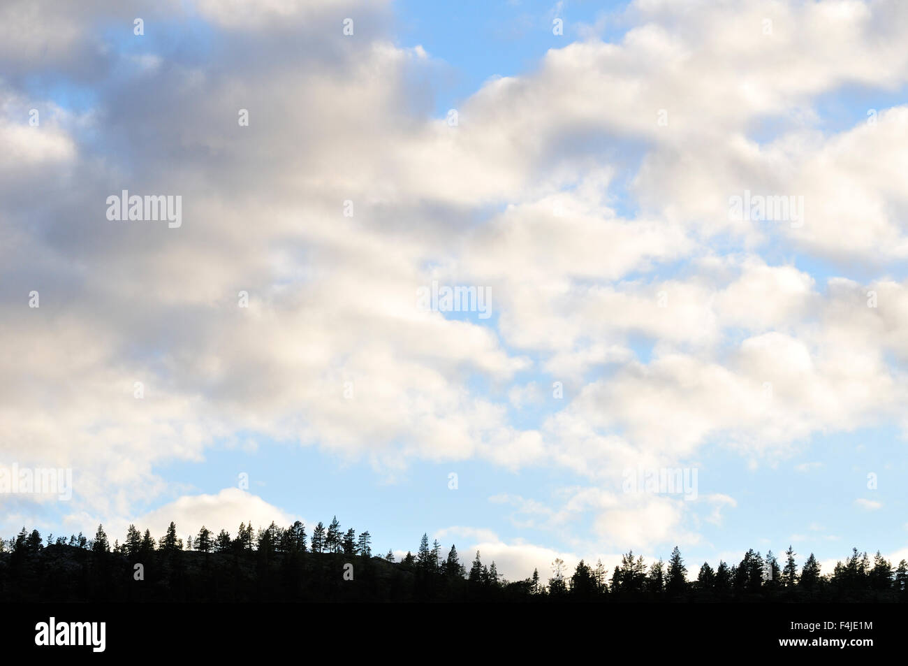 Le nuvole di un cielo blu Foto Stock