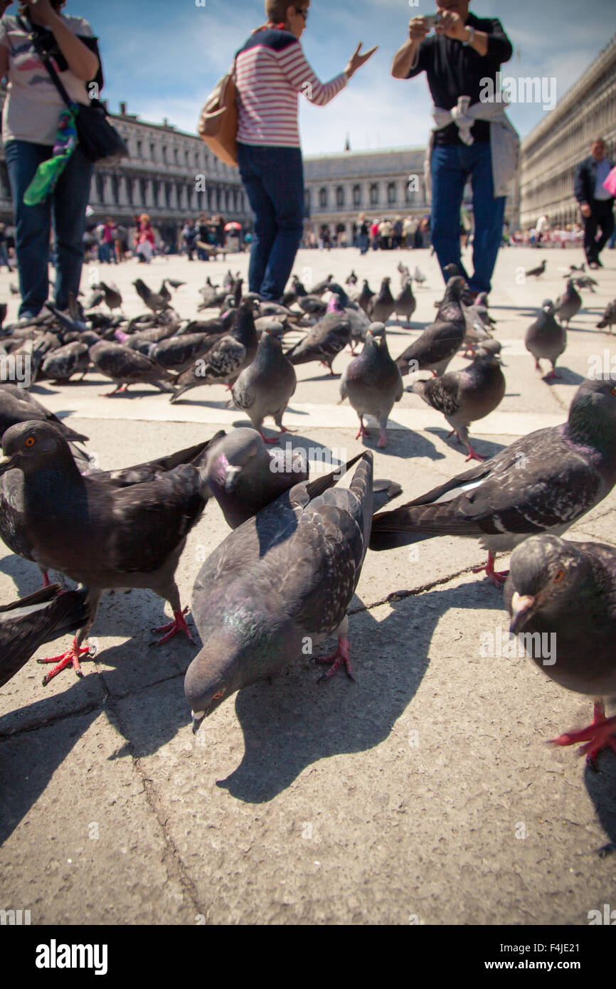Persone che passeggiano sulla Piazza San Marco Venezia Foto Stock