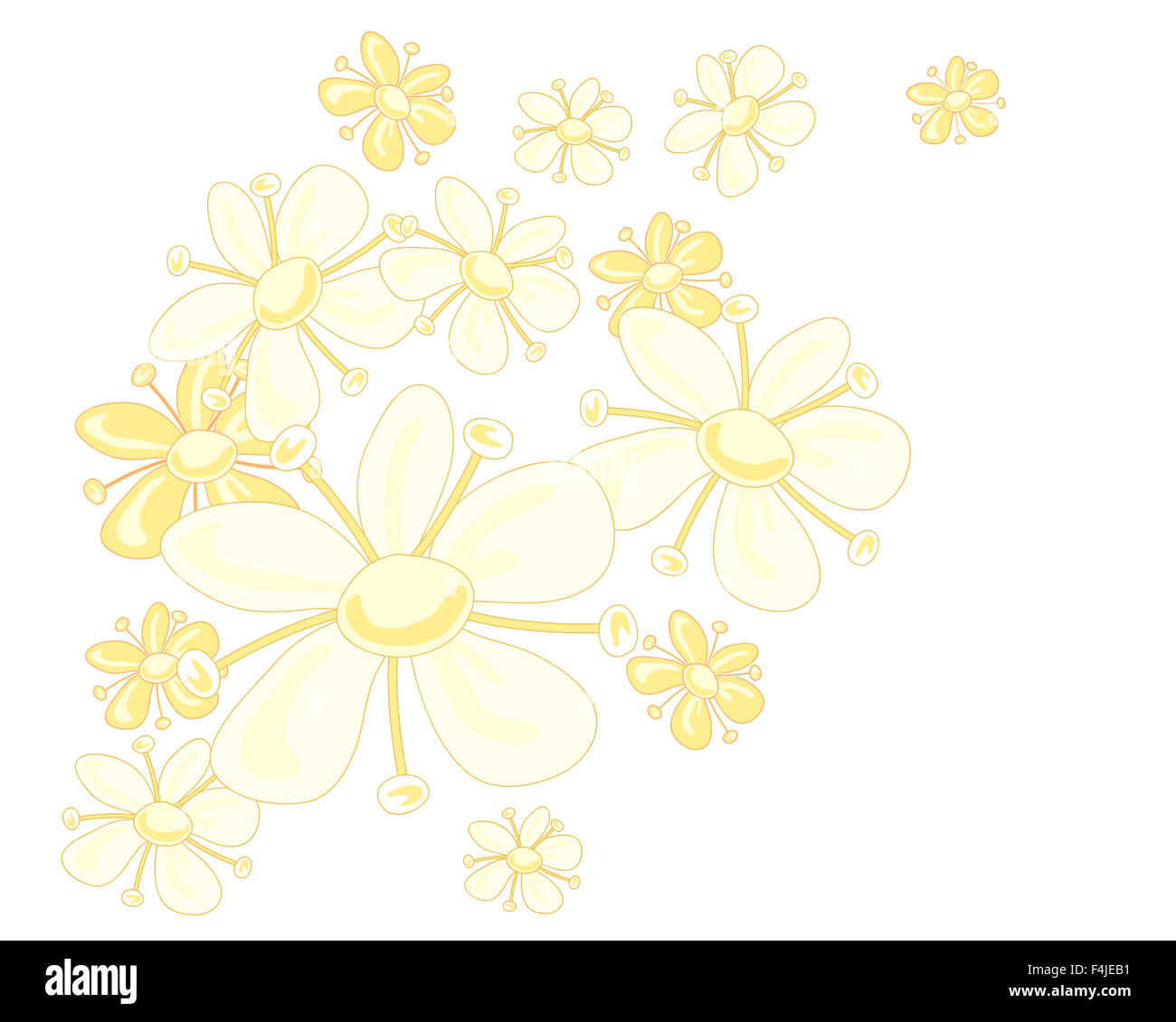 Una illustrazione di una stilizzata lâ Elderflower design in tenui colori di giallo su sfondo bianco Foto Stock