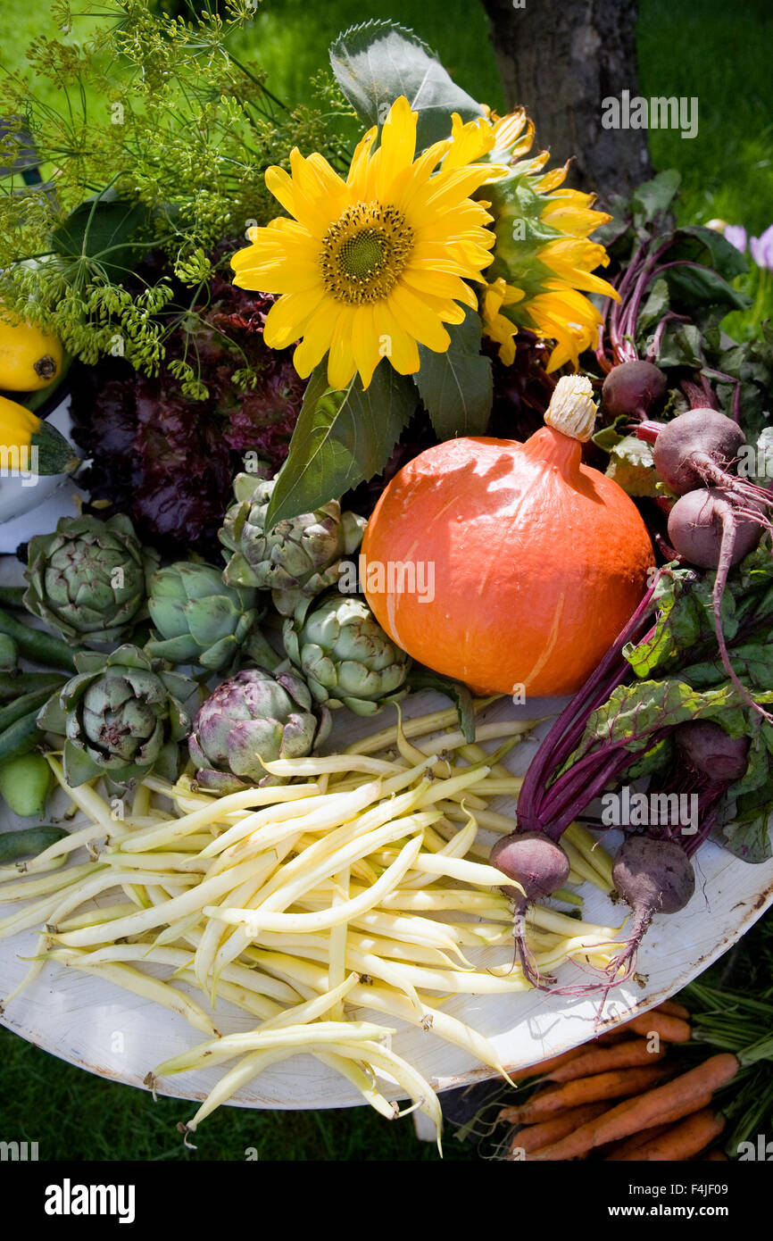 Vari ortaggi su tavola Foto Stock