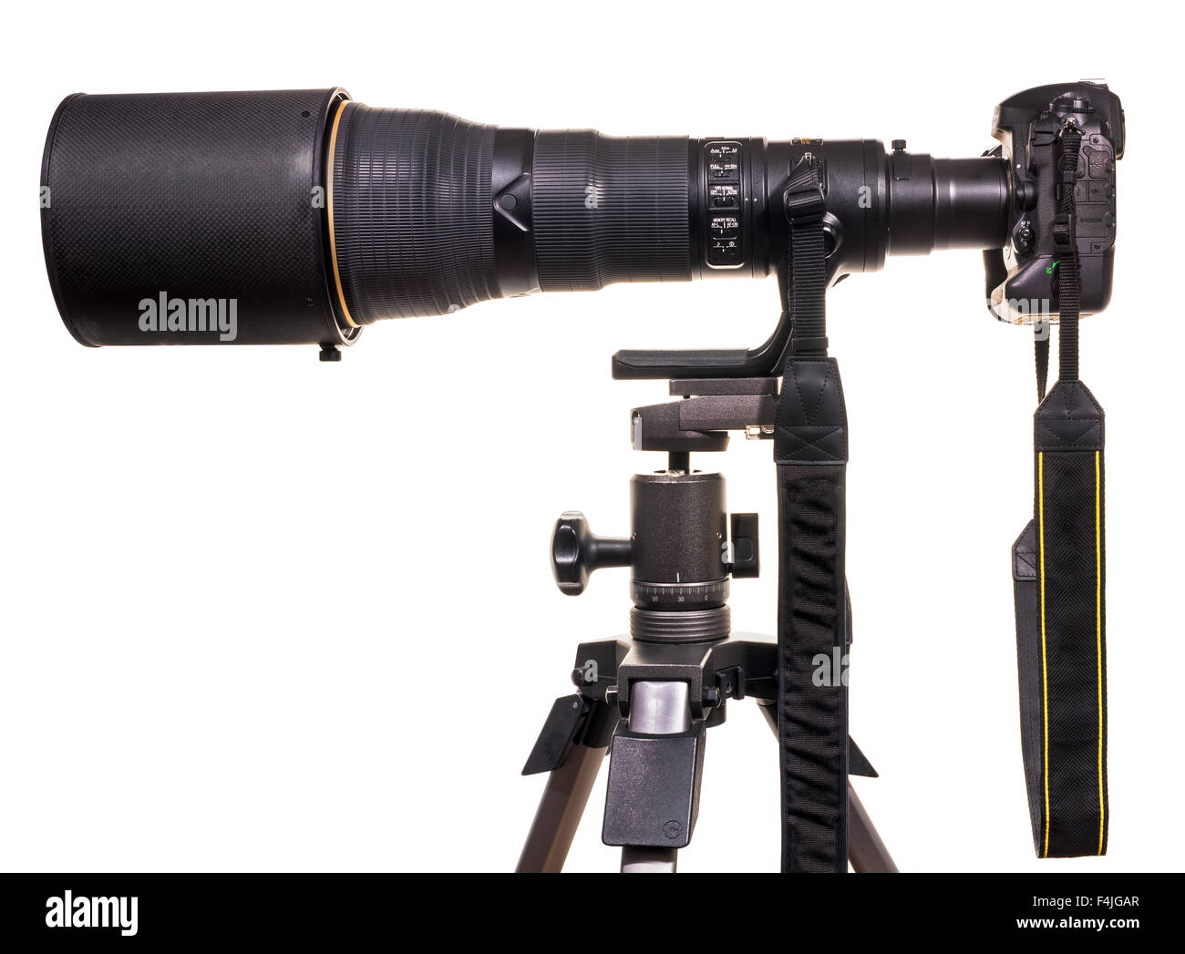 800mm lente su fotocamera DSLR full format. Treppiede. Fotografare le attrezzature del teleobiettivo, distanza di superare, grandi, pesanti e costosi, l Foto Stock