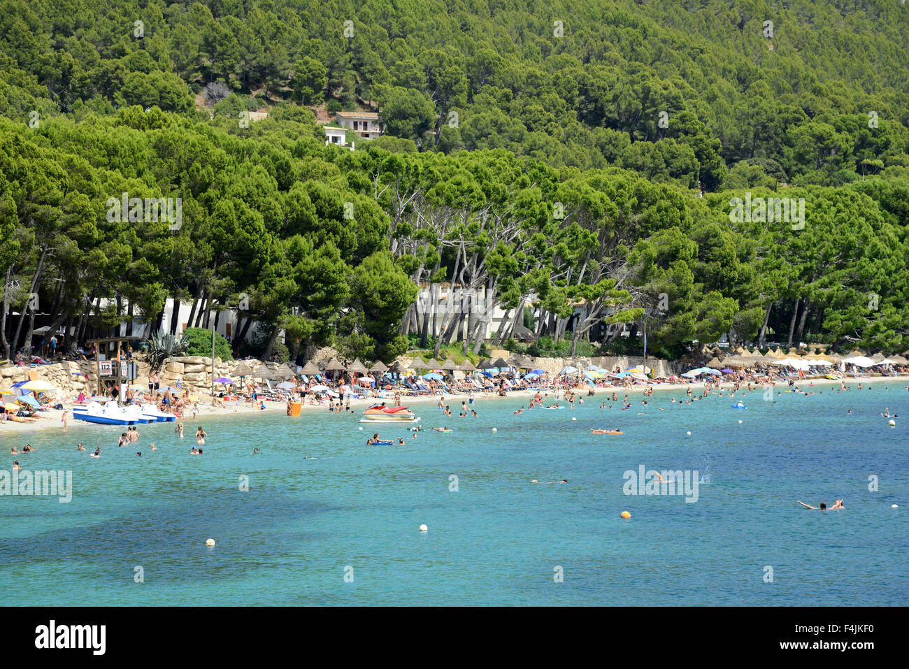 Formentor beach, Maiorca o Maiorca, SPAGNA Foto Stock