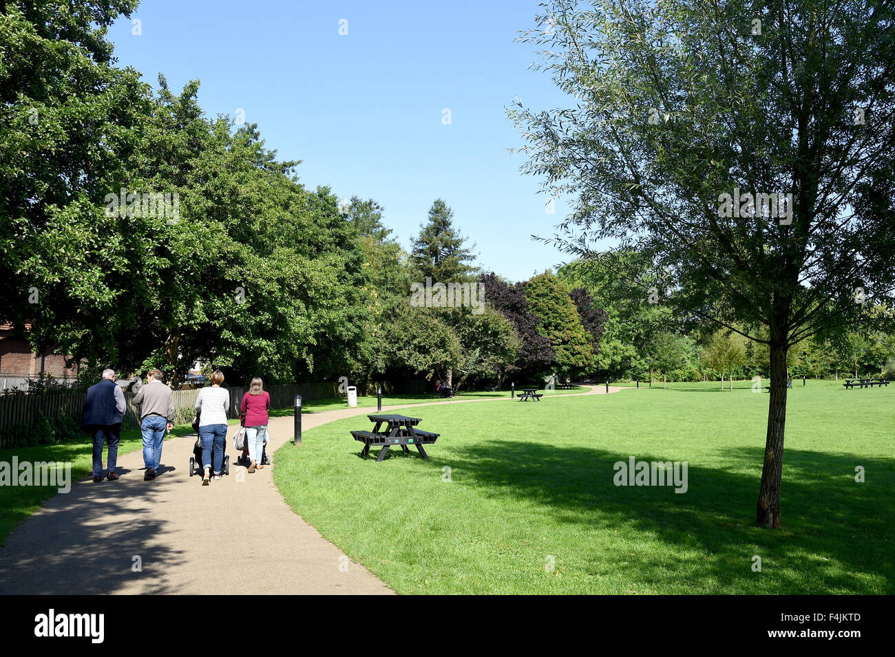 Wimborne Minster parco comunale, Dorset, Gran Bretagna, Regno Unito Foto Stock