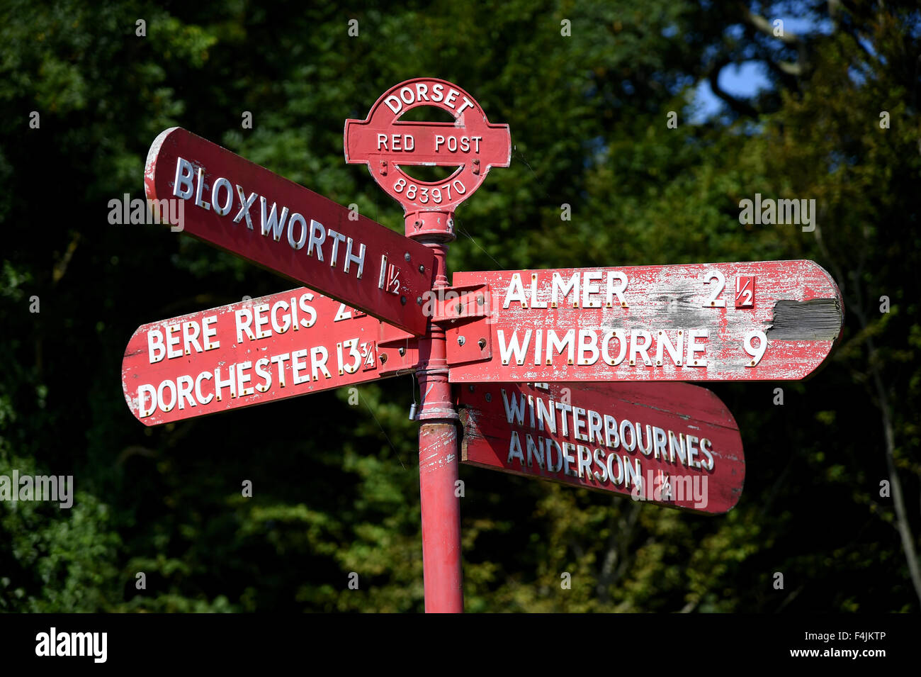 Red dito post nel Dorset, in Gran Bretagna, Regno Unito Foto Stock