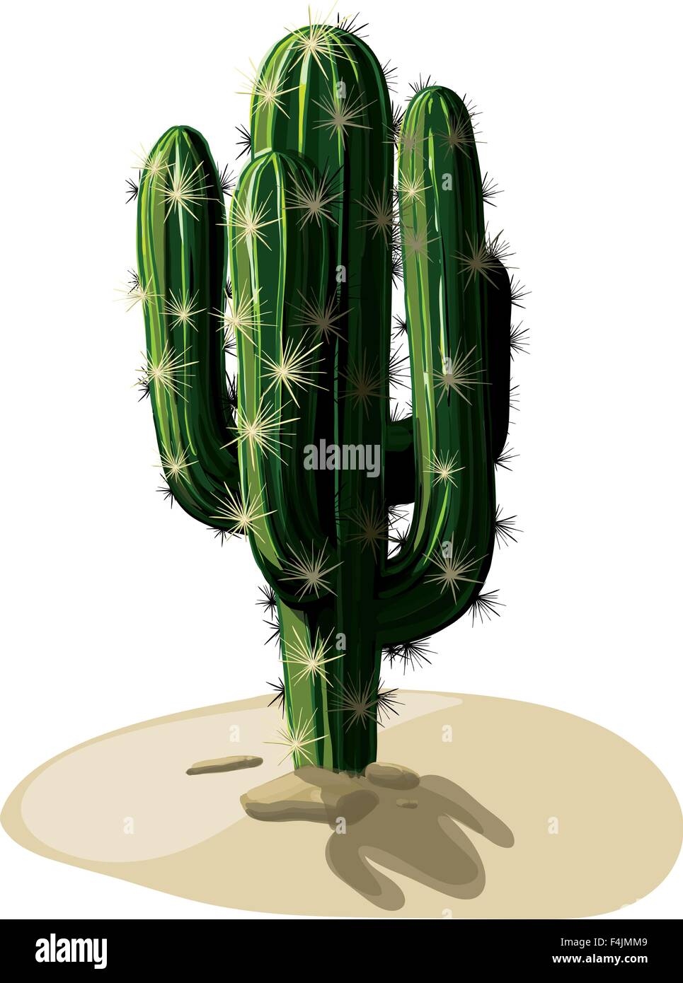 Cactus messicani in sabbia Illustrazione Vettoriale