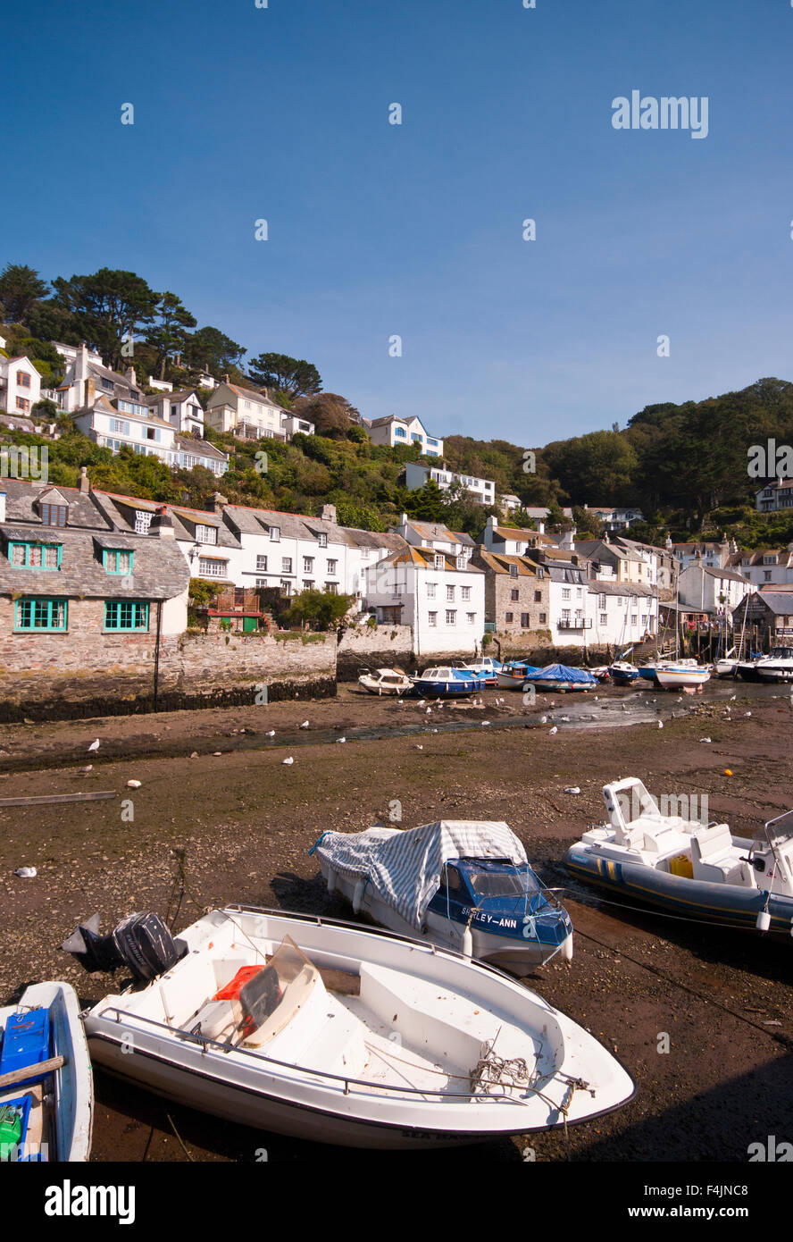 Vista sul Porto di Cornish Villaggio di Pescatori di Polperro Cornwall Inghilterra UK a bassa marea Foto Stock