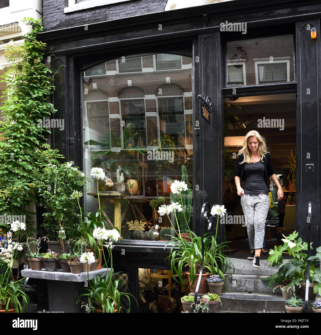 Dutch Flower negozi ( de Negen Straatjes - Nove Piccole Strade ) quartiere Jordaan di Amsterdam Paesi Bassi Foto Stock