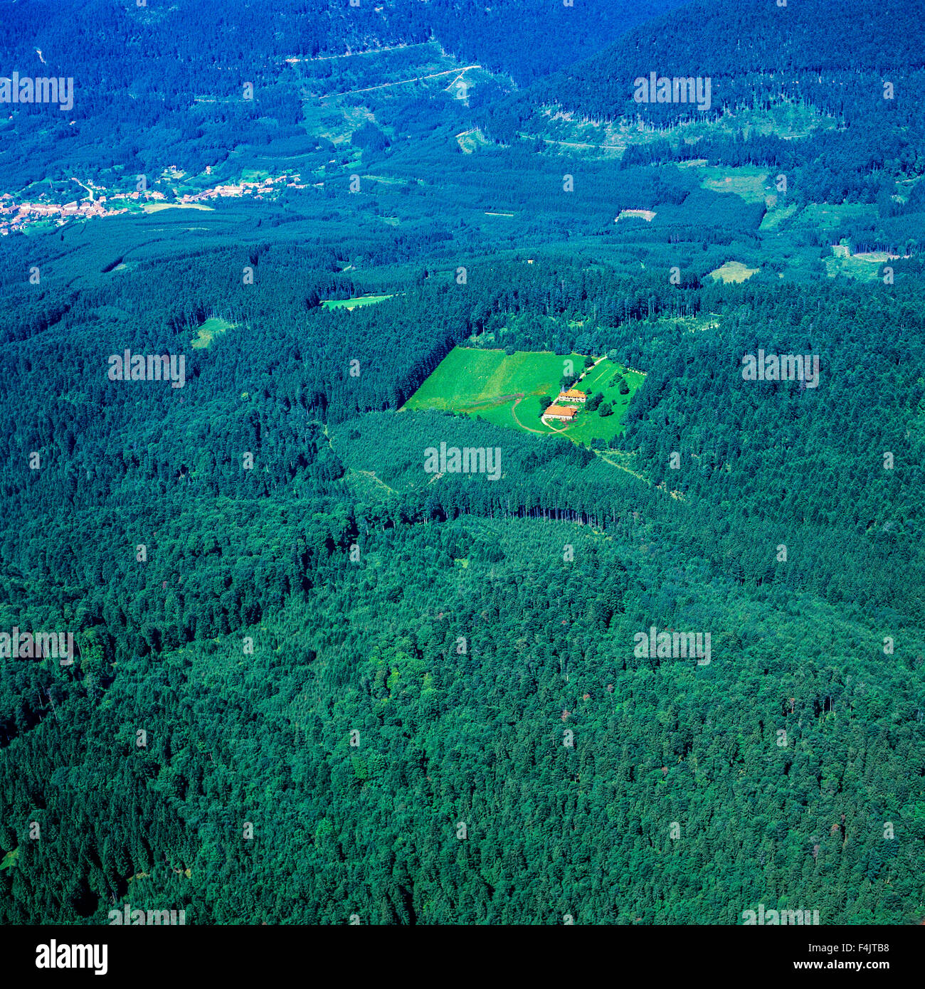 Vista aerea di una radura, forester house, montagne Vosges, Lorena, Francia, Europa Foto Stock