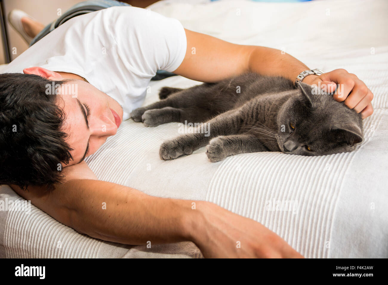 Bel giovane uomo Animal-Lover su un letto, avvolgente e coccole il suo grigio gatto domestico Pet. Foto Stock