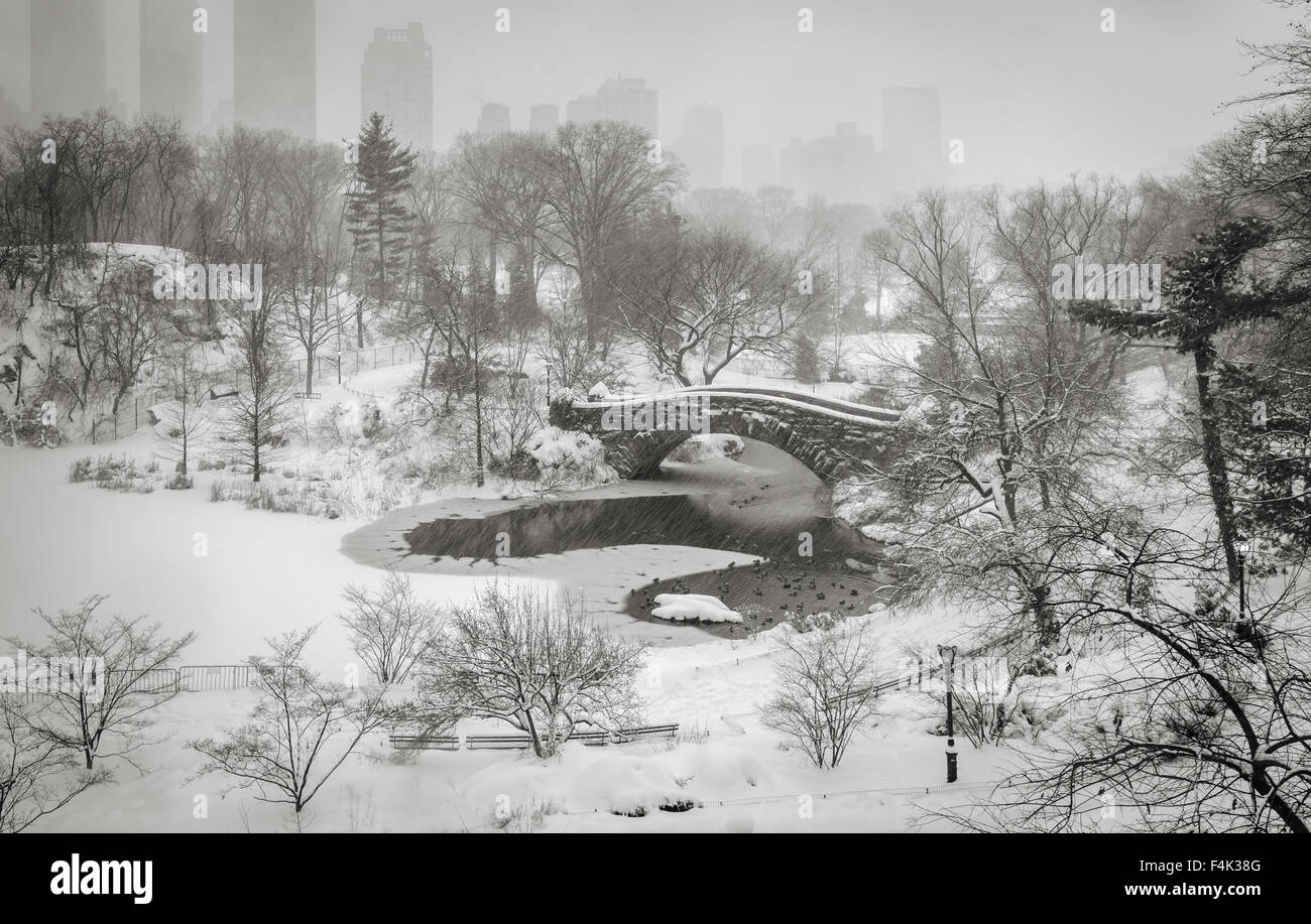 Il Central Park di stagno e Gapstow Bridge durante una tempesta di neve. Tranquilla scena invernale nel cuore di Manhattan, New York City Foto Stock