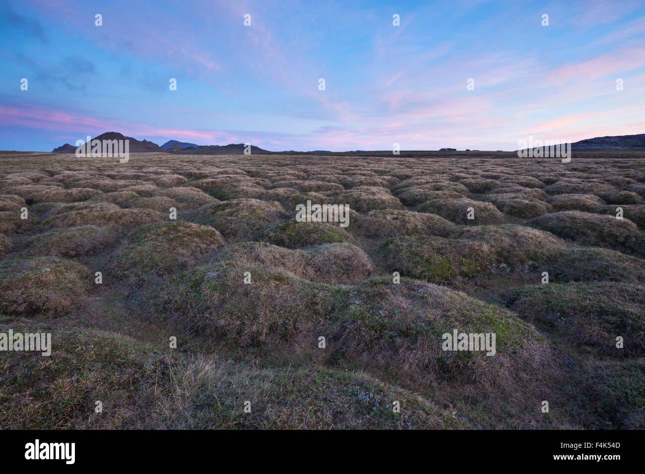 Tramonto su moss-coperto dalla lava vulcano Krafla, Myvatn, Nordhurland Eystra, Islanda. Foto Stock