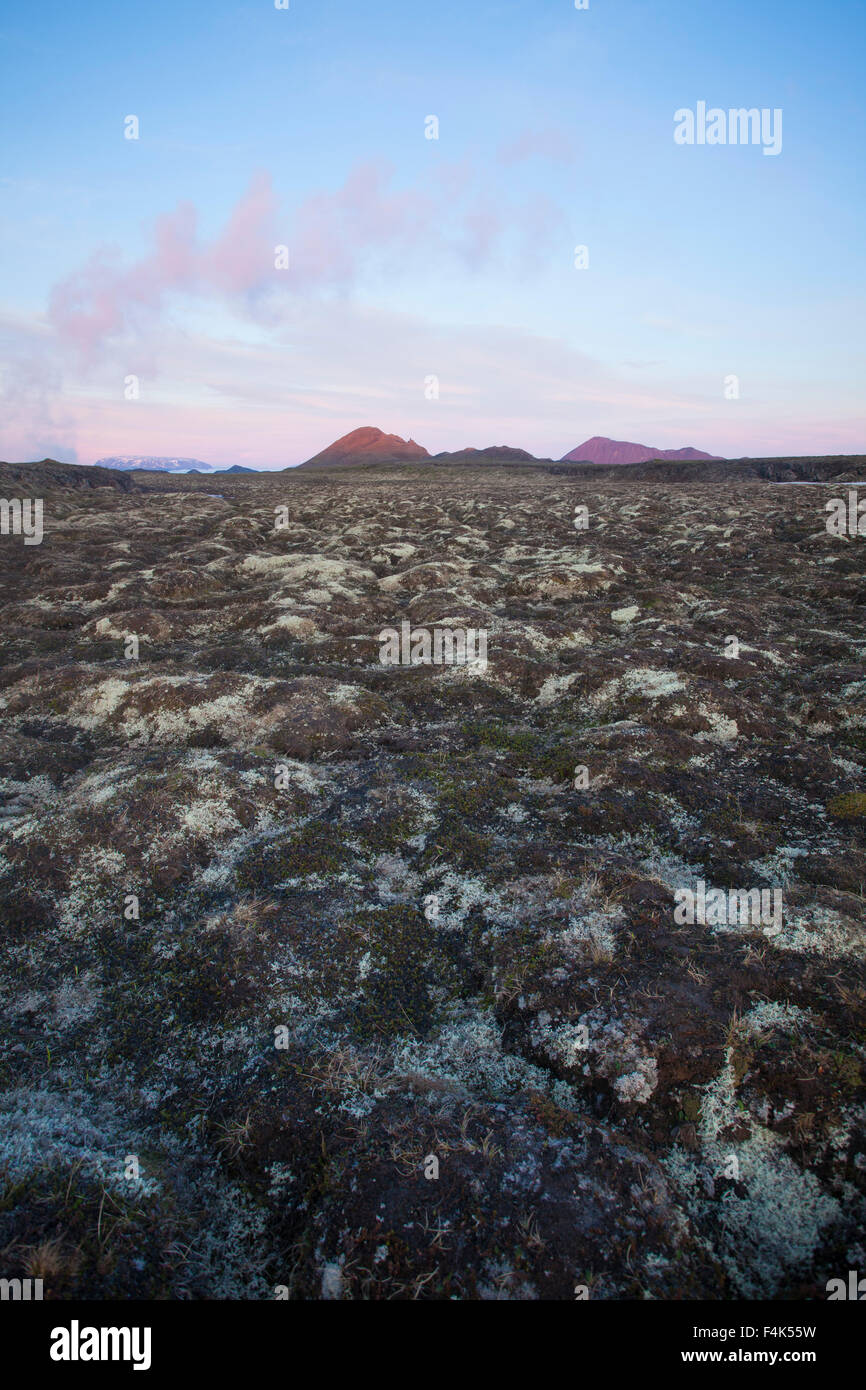 Alba su moss-coperto dalla lava vulcano Krafla, Myvatn, Nordhurland Eystra, Islanda. Foto Stock