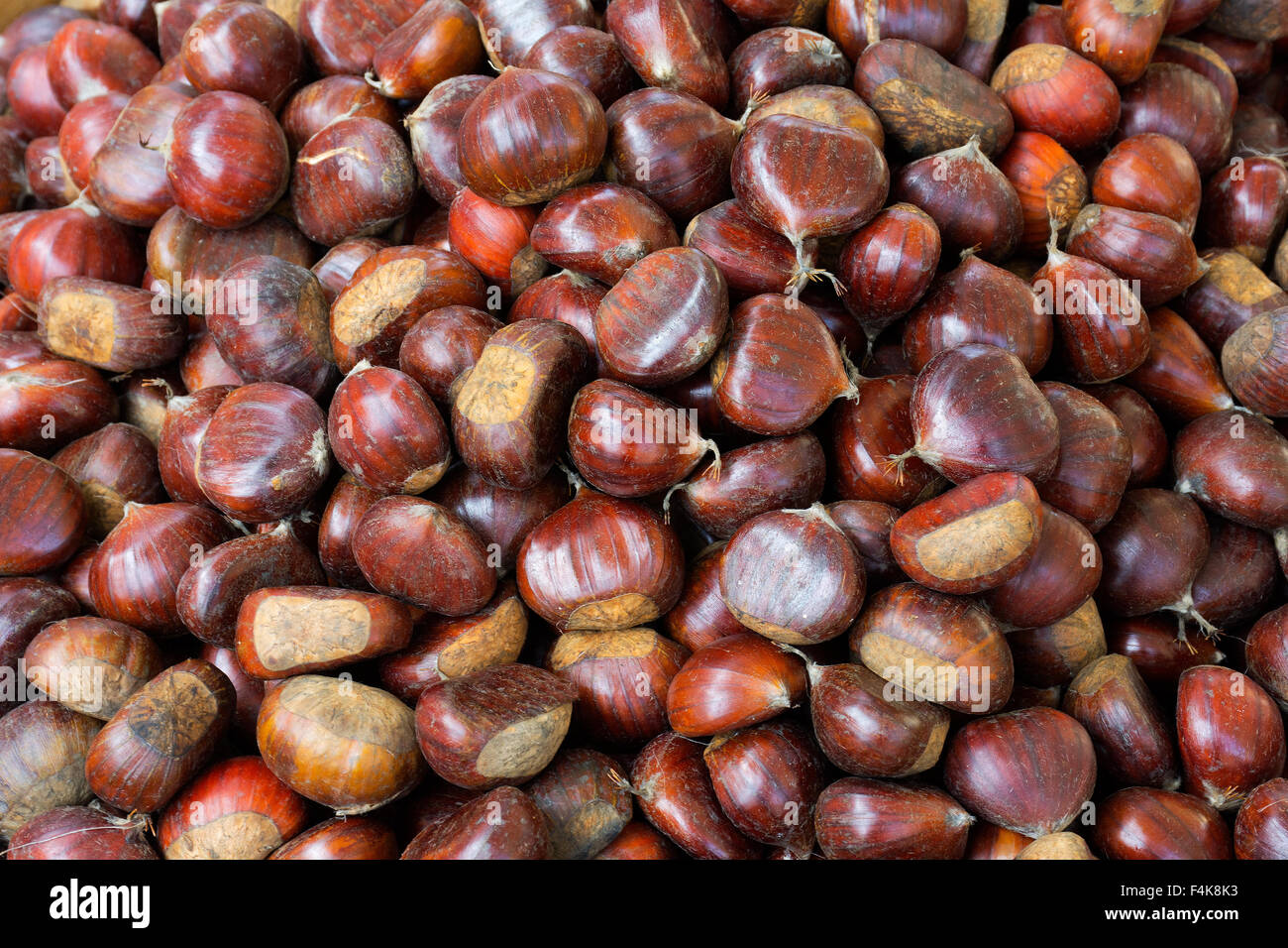 L'Italia, Piemonte, Fiera del Tartufo di Alba: castagne Foto Stock