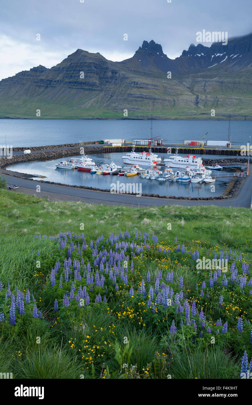 Vista sul porto nel fiordo di Stodvarfjordur, Austurland, Islanda. Foto Stock