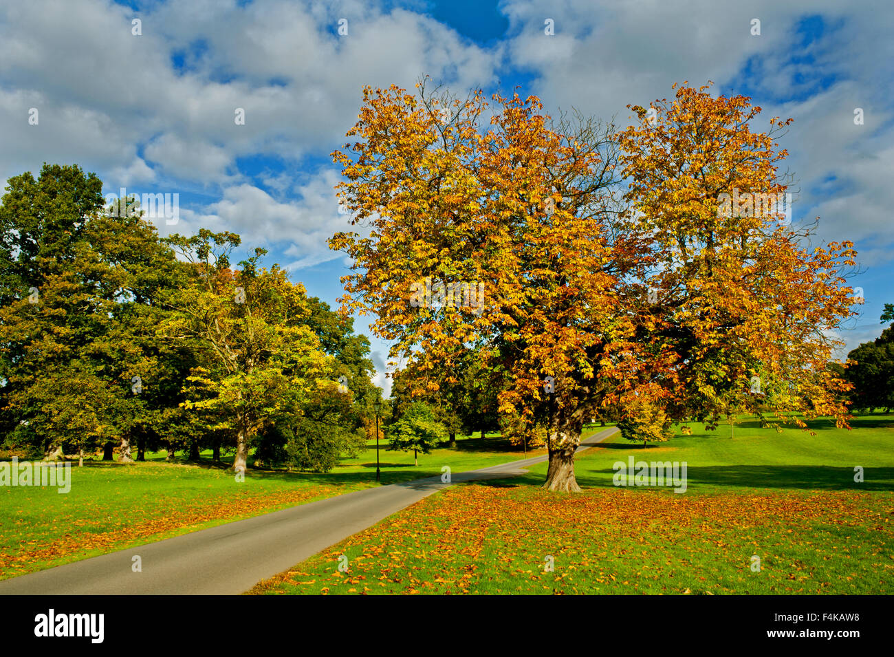 Autunno a Wynyard Hall Gardens, Stockton on Tees Foto Stock