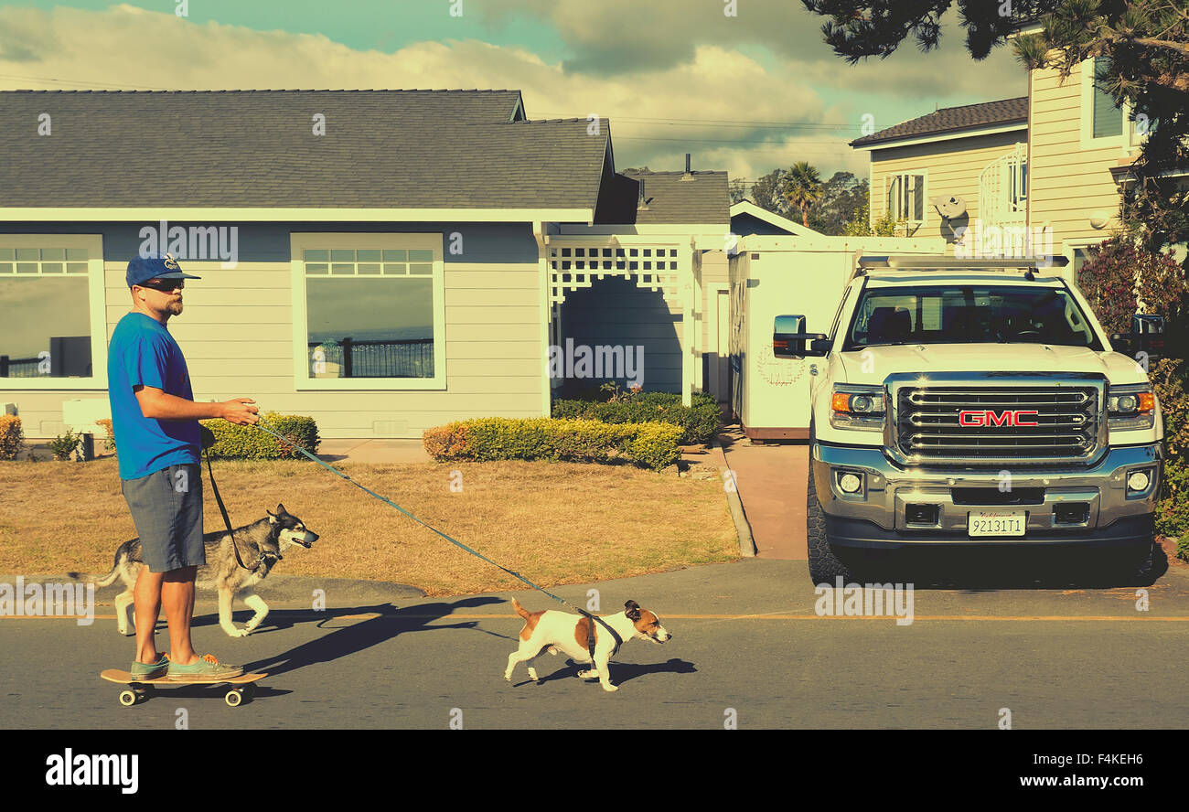 Dog walker in Santa Cruz California USA Foto Stock