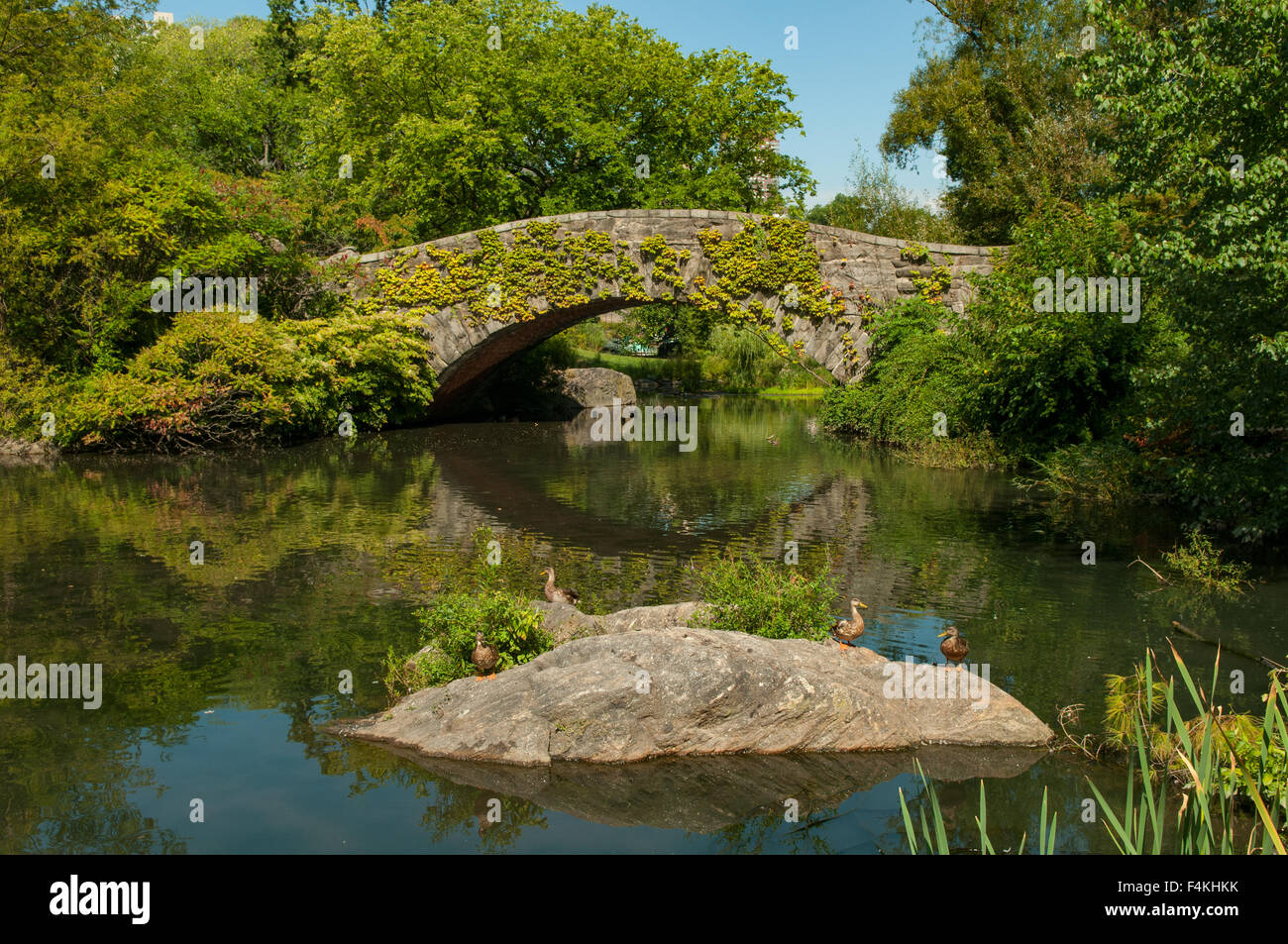 Gapstow Bridge, al Central Park di New York, Stati Uniti d'America Foto Stock